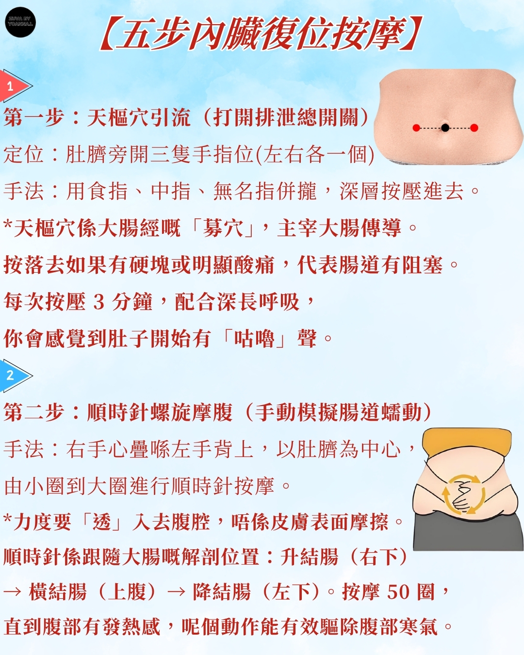 第三類 - 內臟健康與隱形排毒