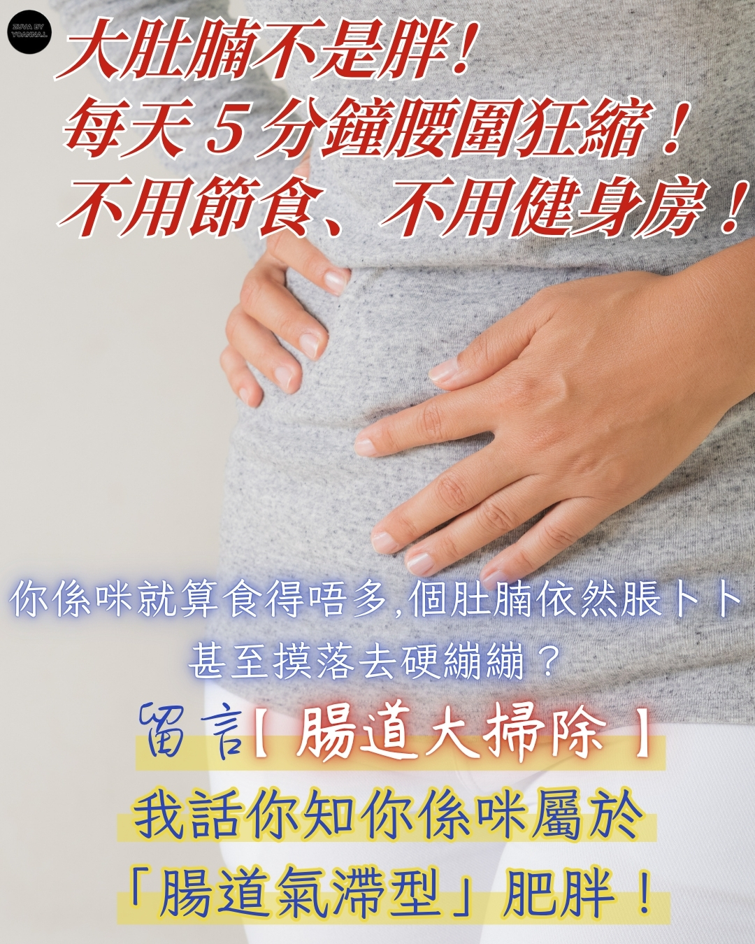 第三類 - 內臟健康與隱形排毒