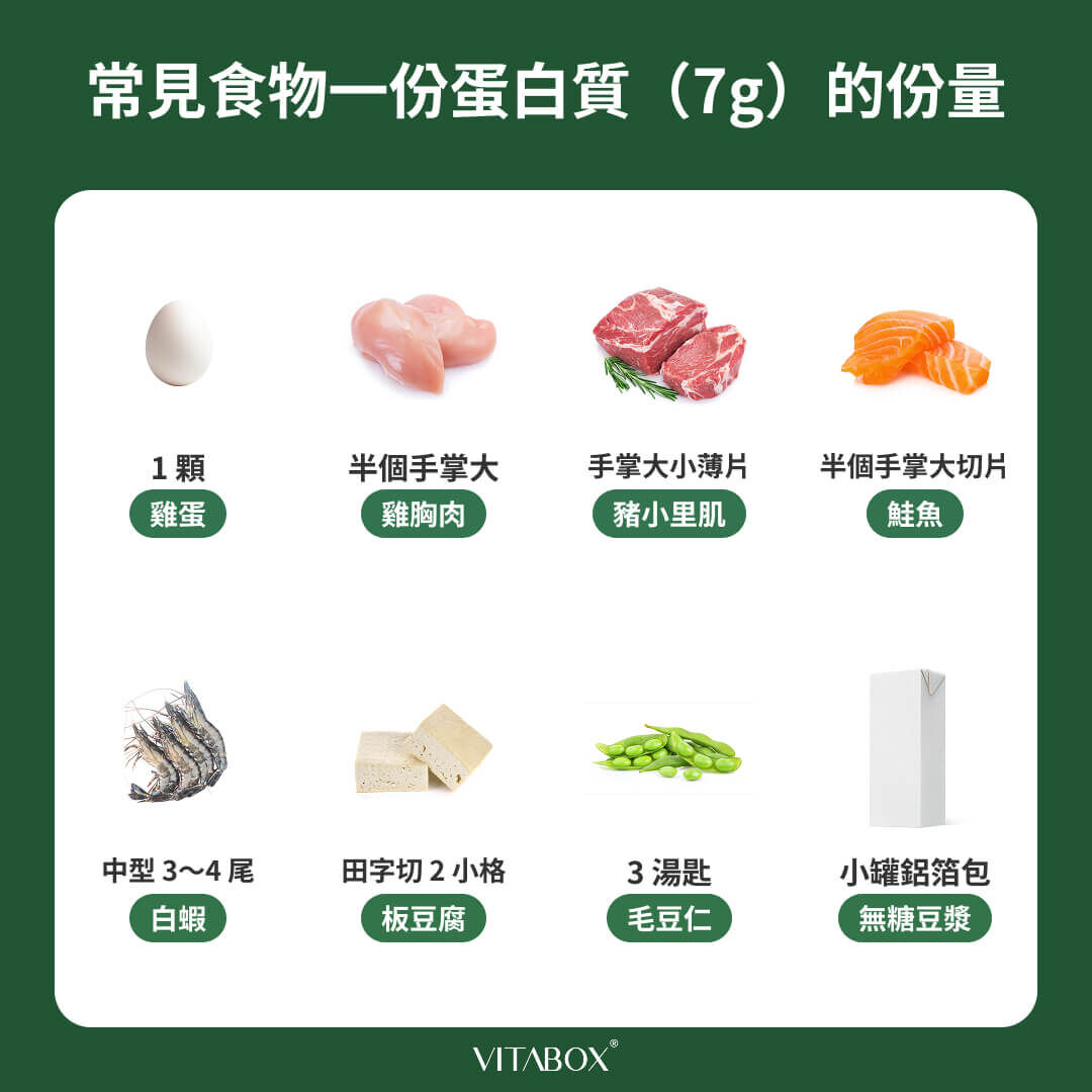 了解蛋白質食物份量，計算一天蛋白質攝取量