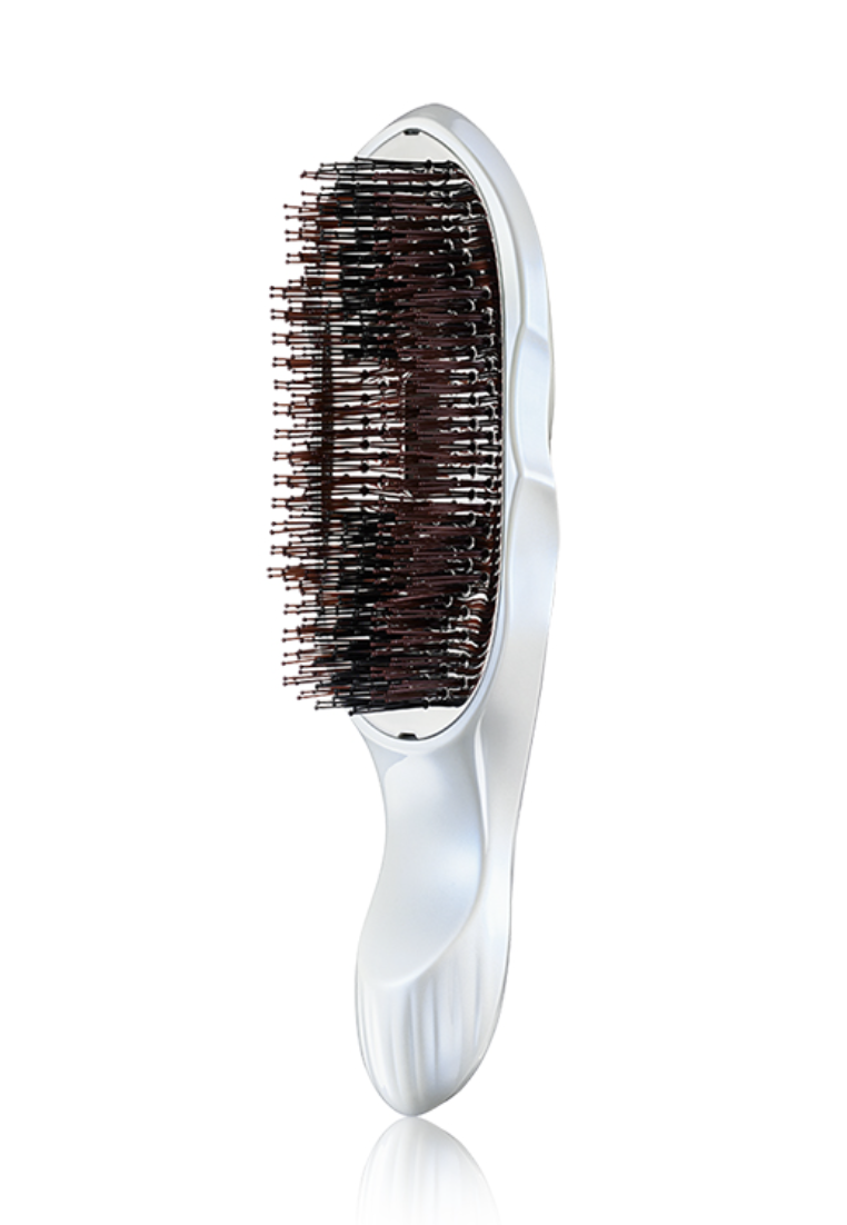 日本REFA Ion Care Brush Premium 負離子乾濕兩用梳