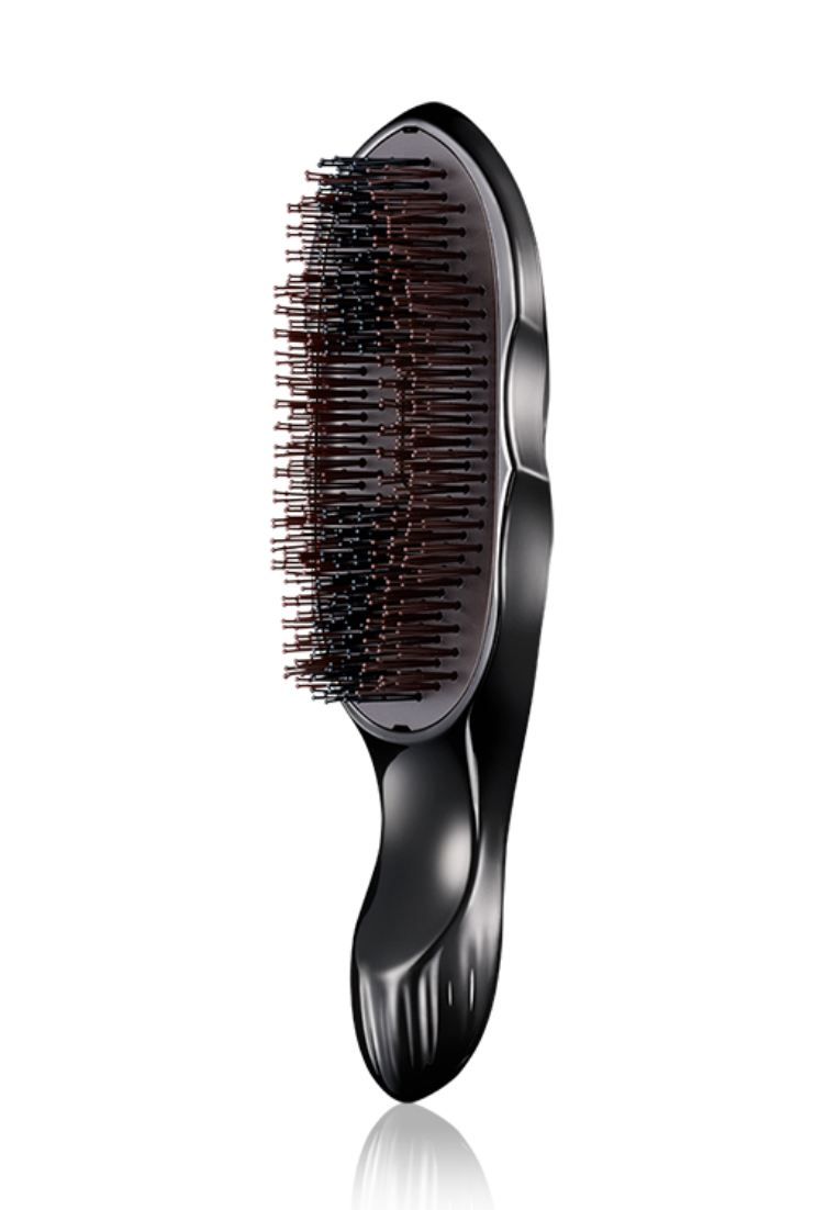 日本REFA Ion Care Brush Premium 負離子乾濕兩用梳