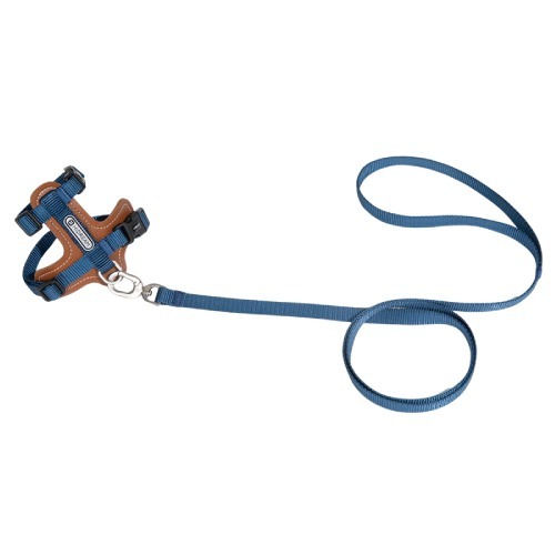 HIDREAM Leather Cat Harness Suit Blue