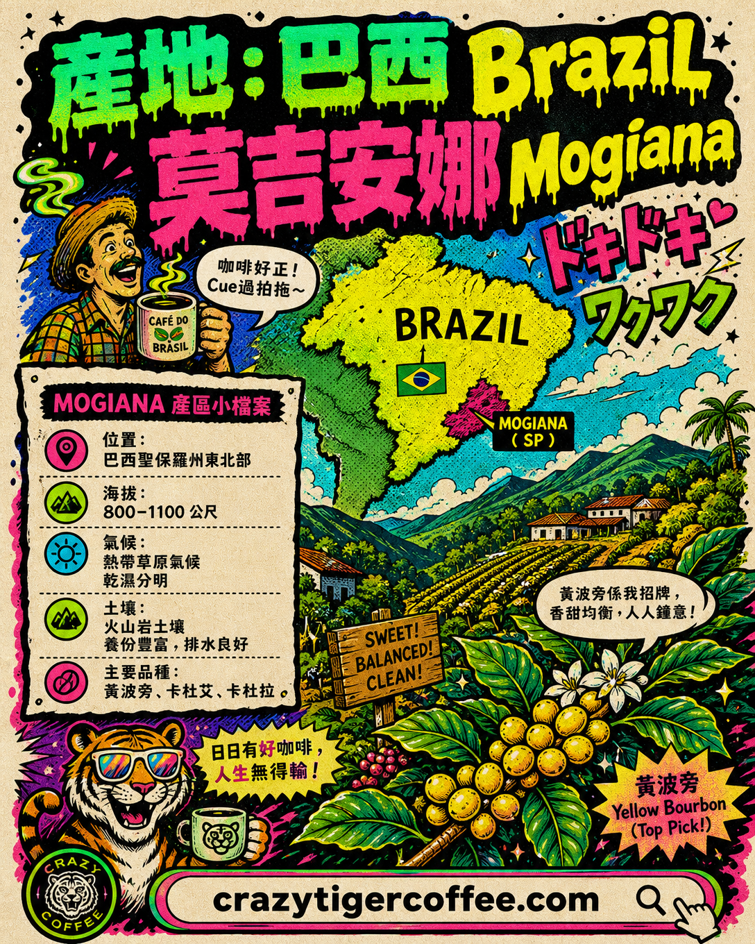 Brazil Mogiana Yellow Bourbon Natural