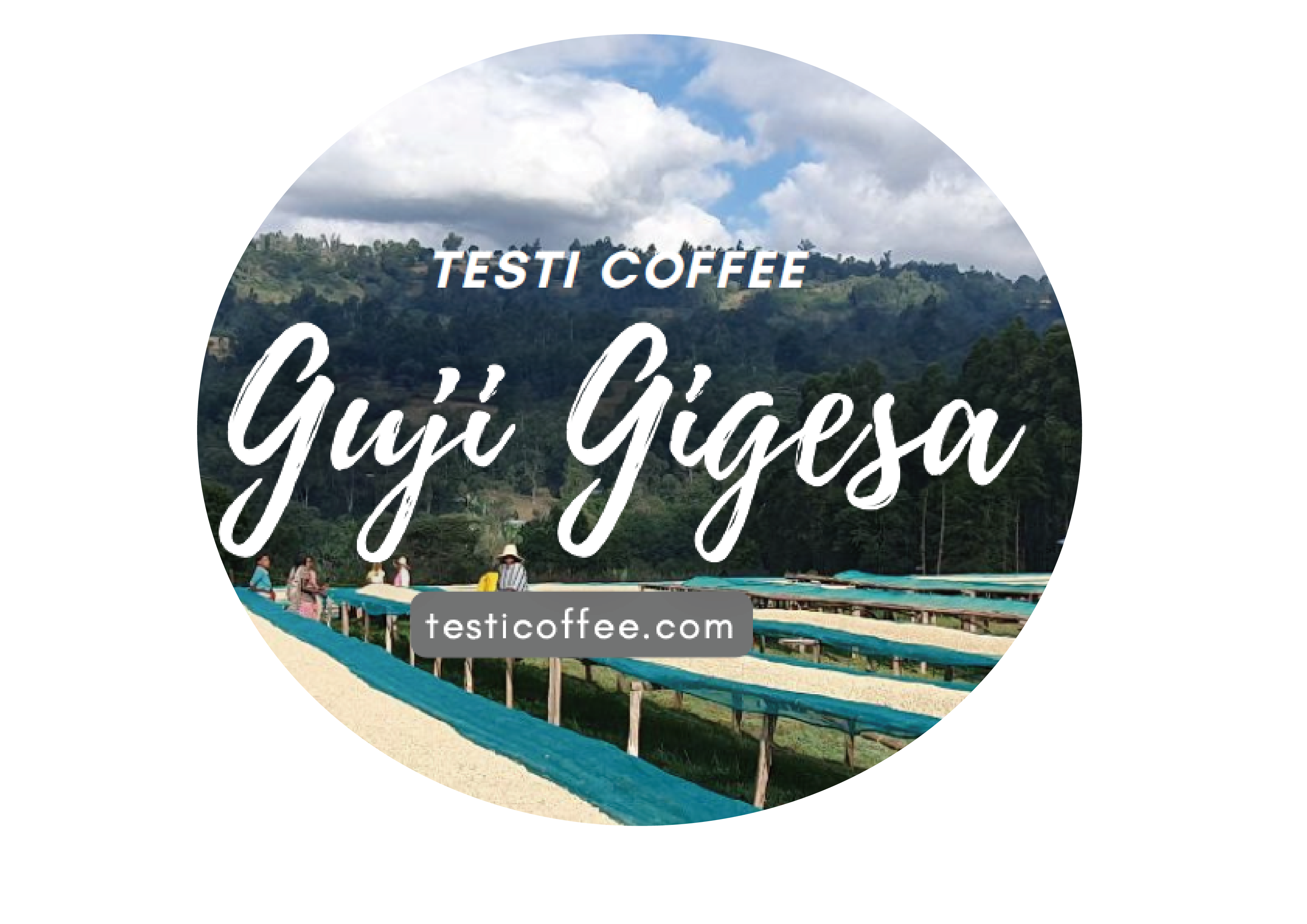 Ethiopia Guji Gigesa Washing Station Washed G1