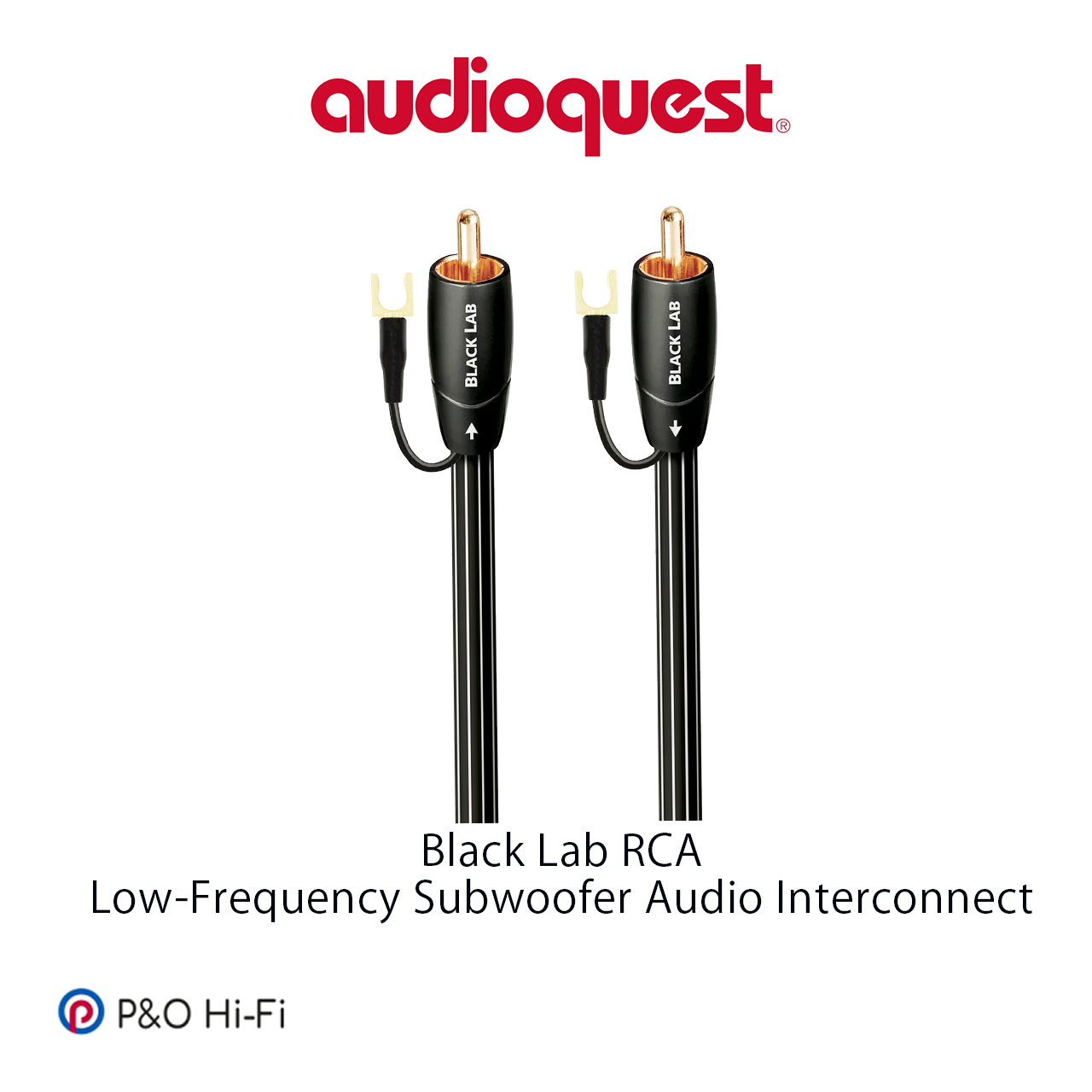 AudioQuest Black Lab (黑拉布拉多) RCA 超低音訊號線