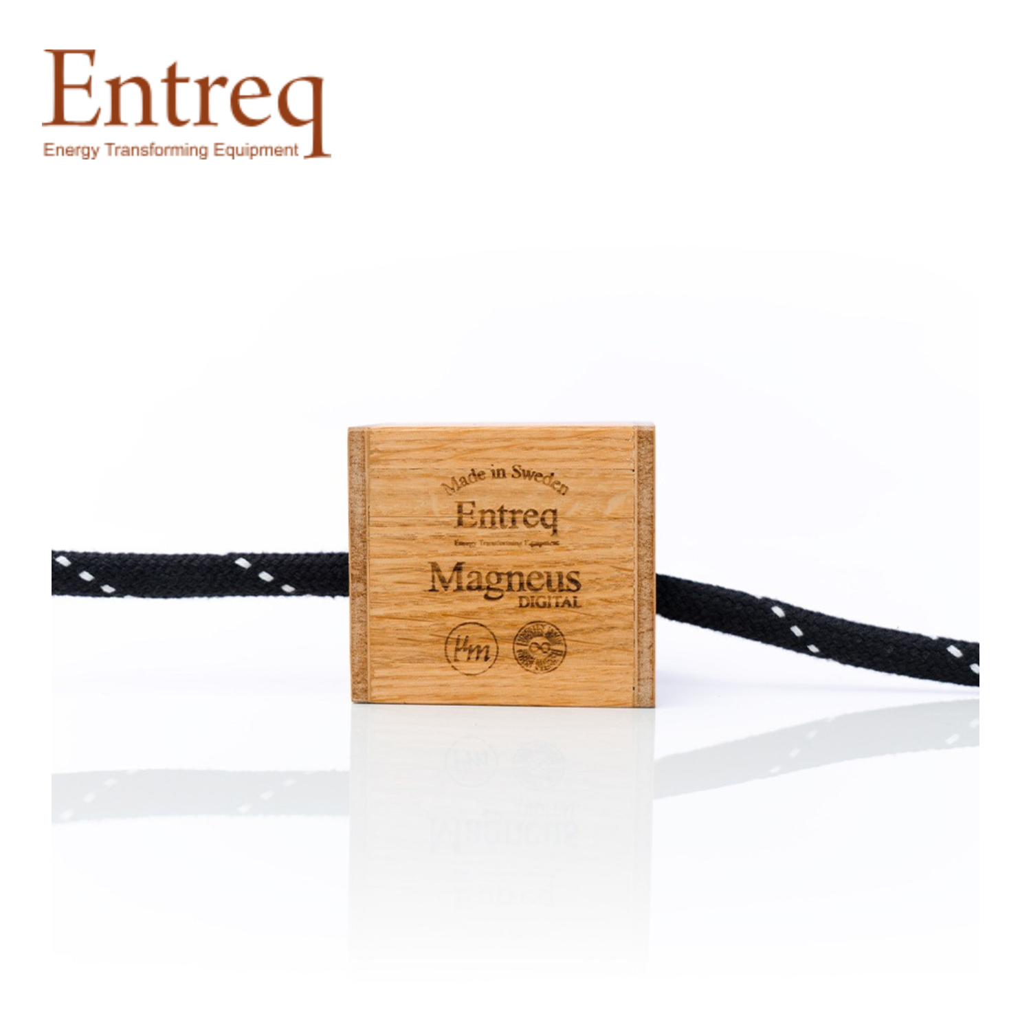 農夫 Entreq Magneus Digital EMI 轉化器