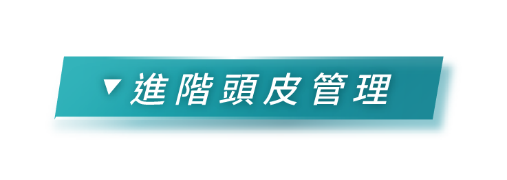 進階頭皮管理