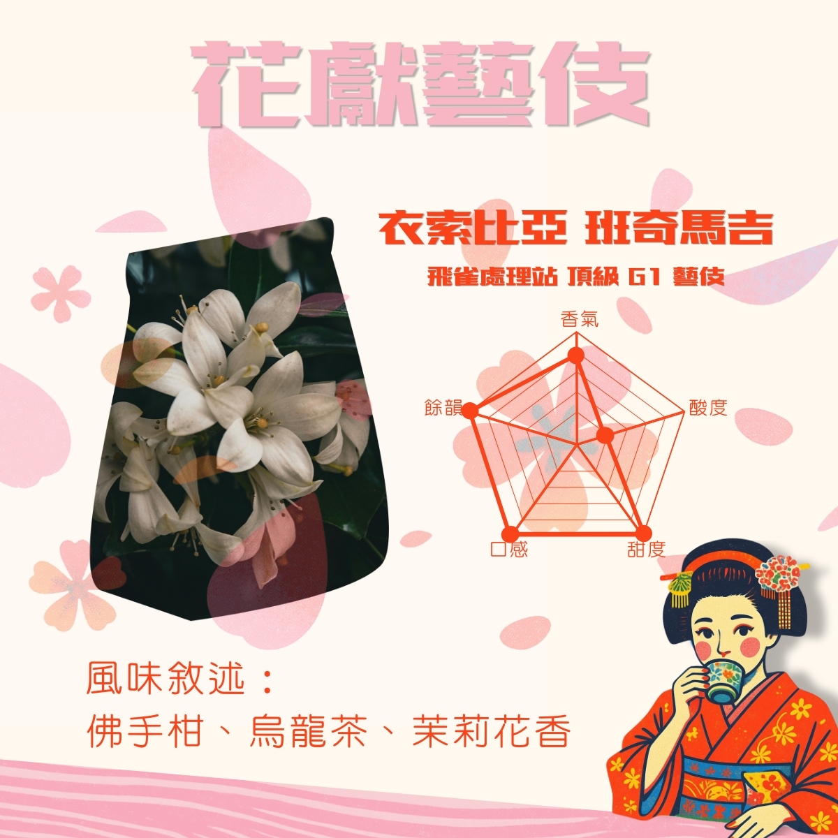 【花獻藝伎】嚴選藝伎咖啡豆 3 入優惠組｜暖窩咖啡