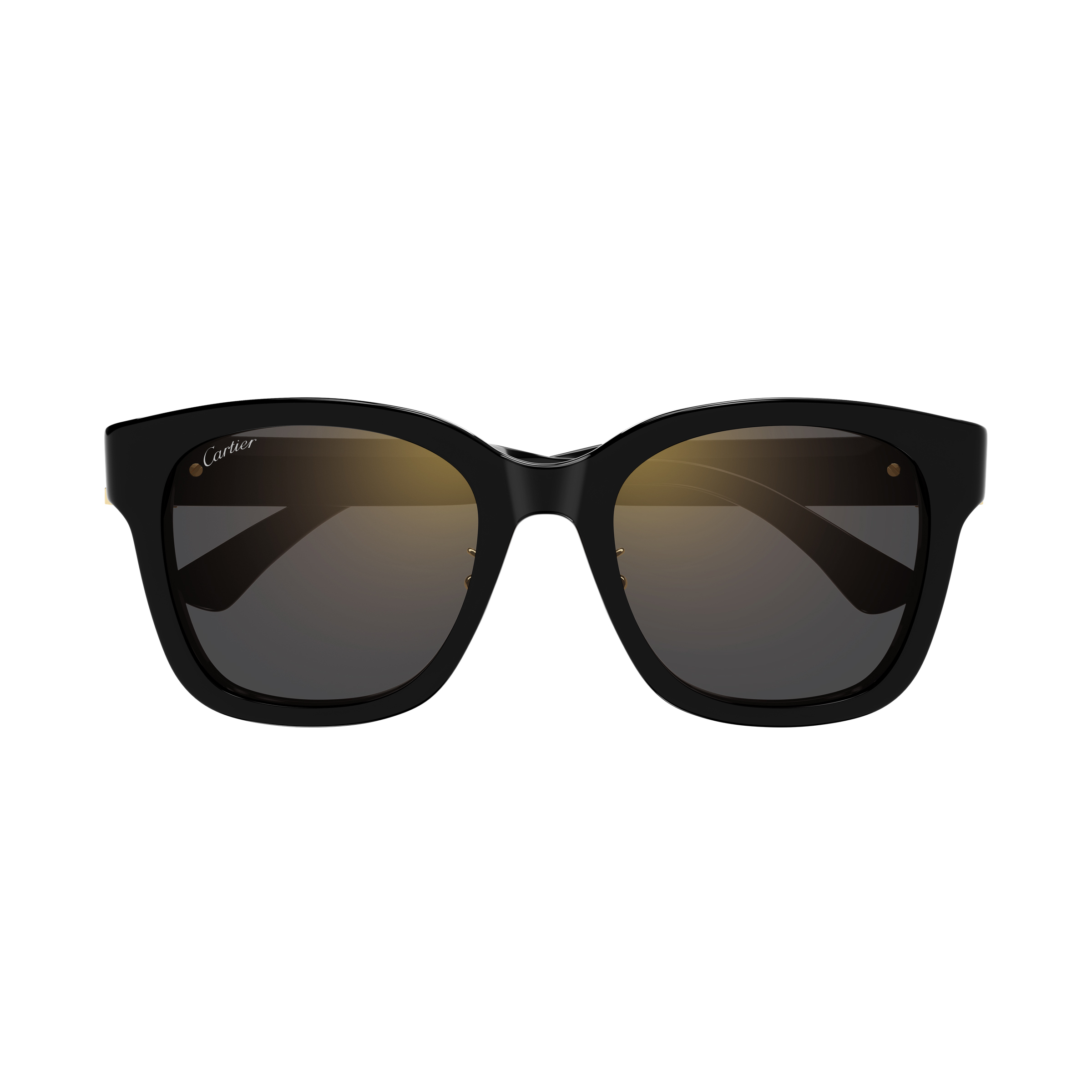 Cartier - CT0589SA／001
