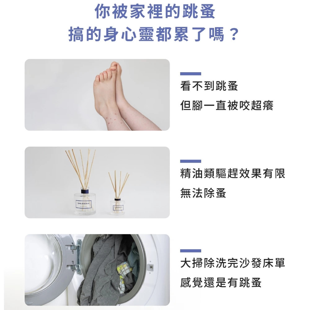 家中跳蚤困擾情境：腳部被跳蚤叮咬紅腫、精油驅蟲效果有限、洗完床單沙發仍有跳蚤