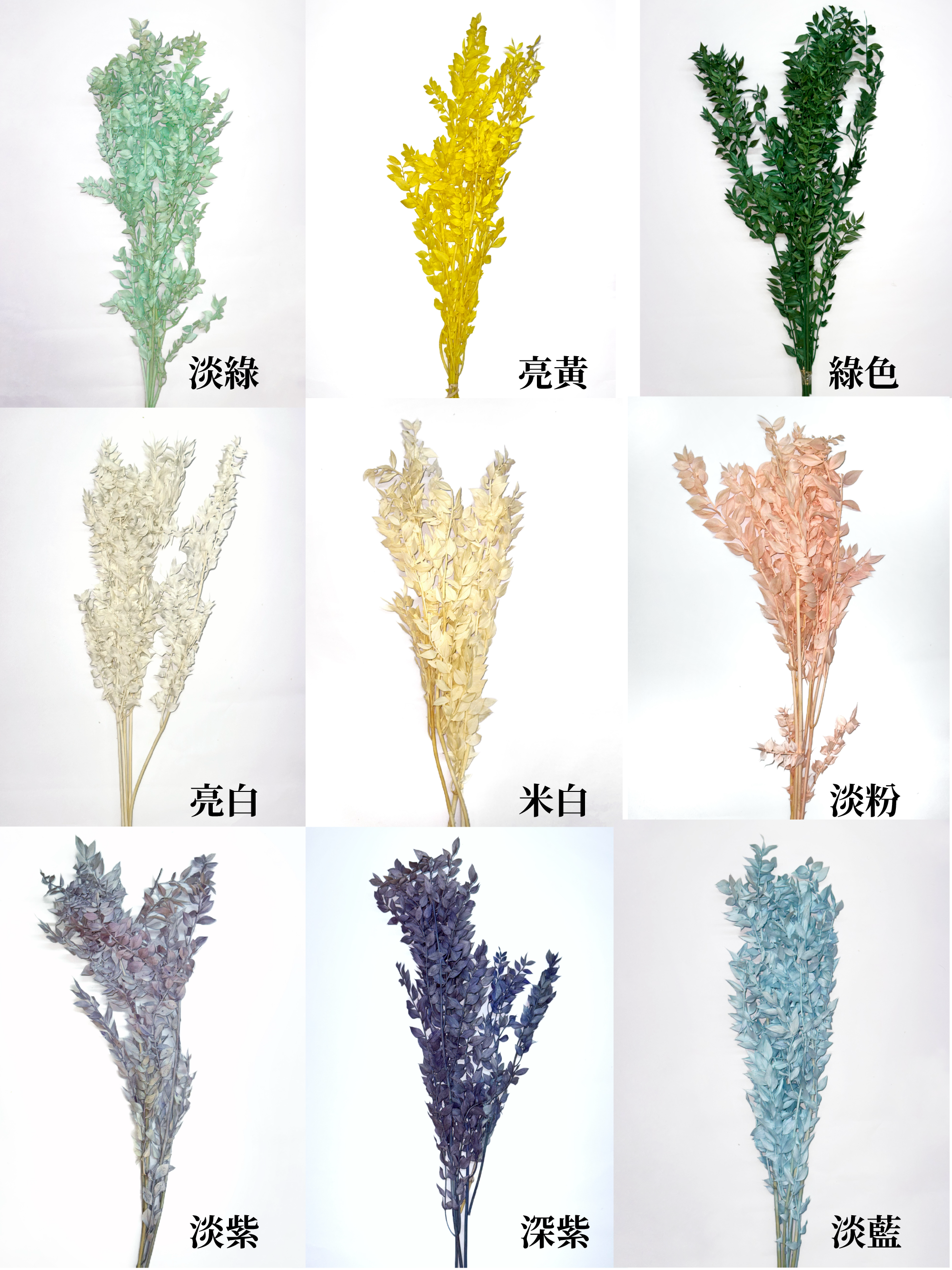 永生富貴葉