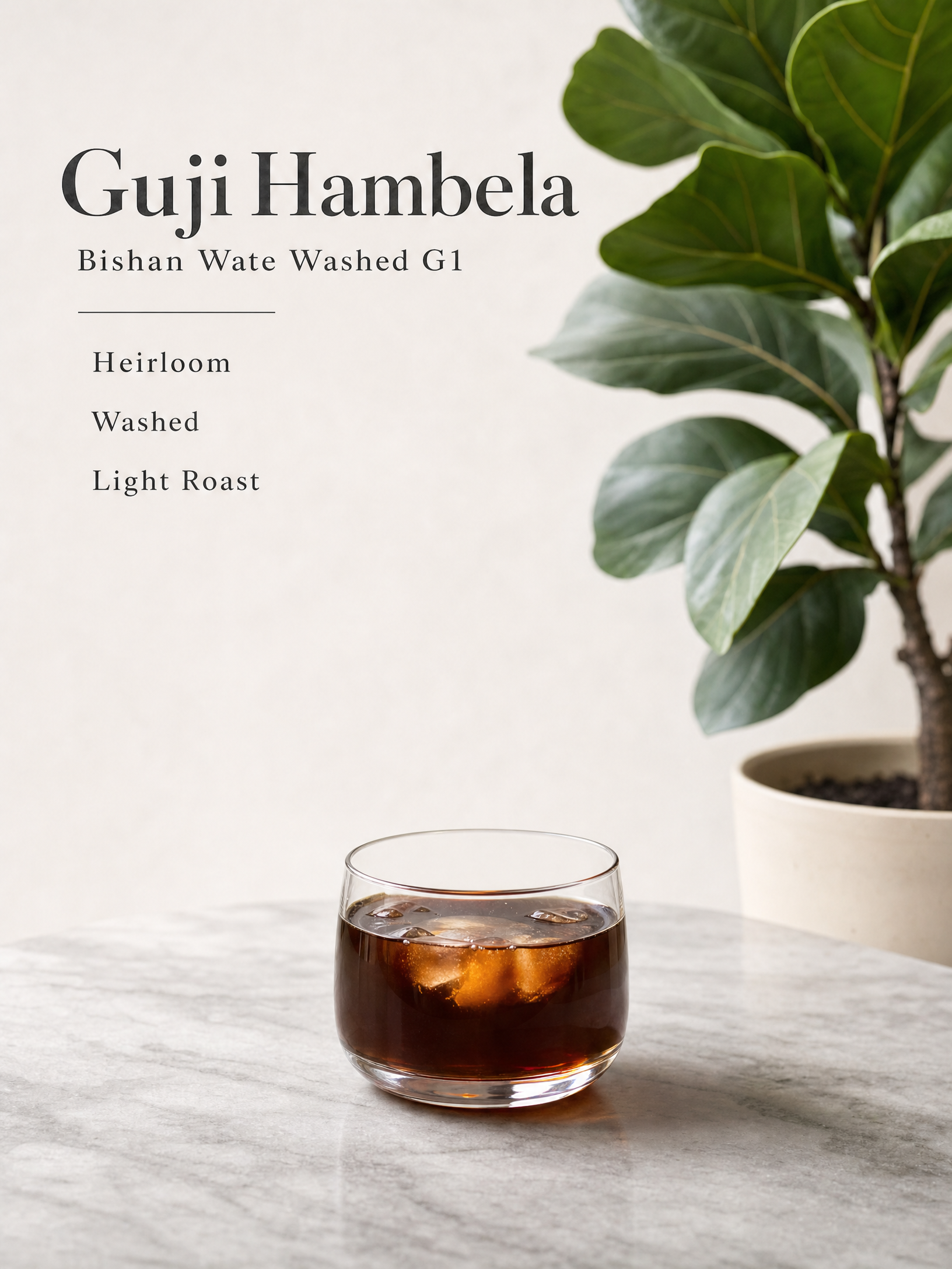 【Ramble Cafe｜濾掛咖啡】衣索比亞｜ 谷吉 ｜罕貝拉｜ 橙羽｜ 水洗 G1
