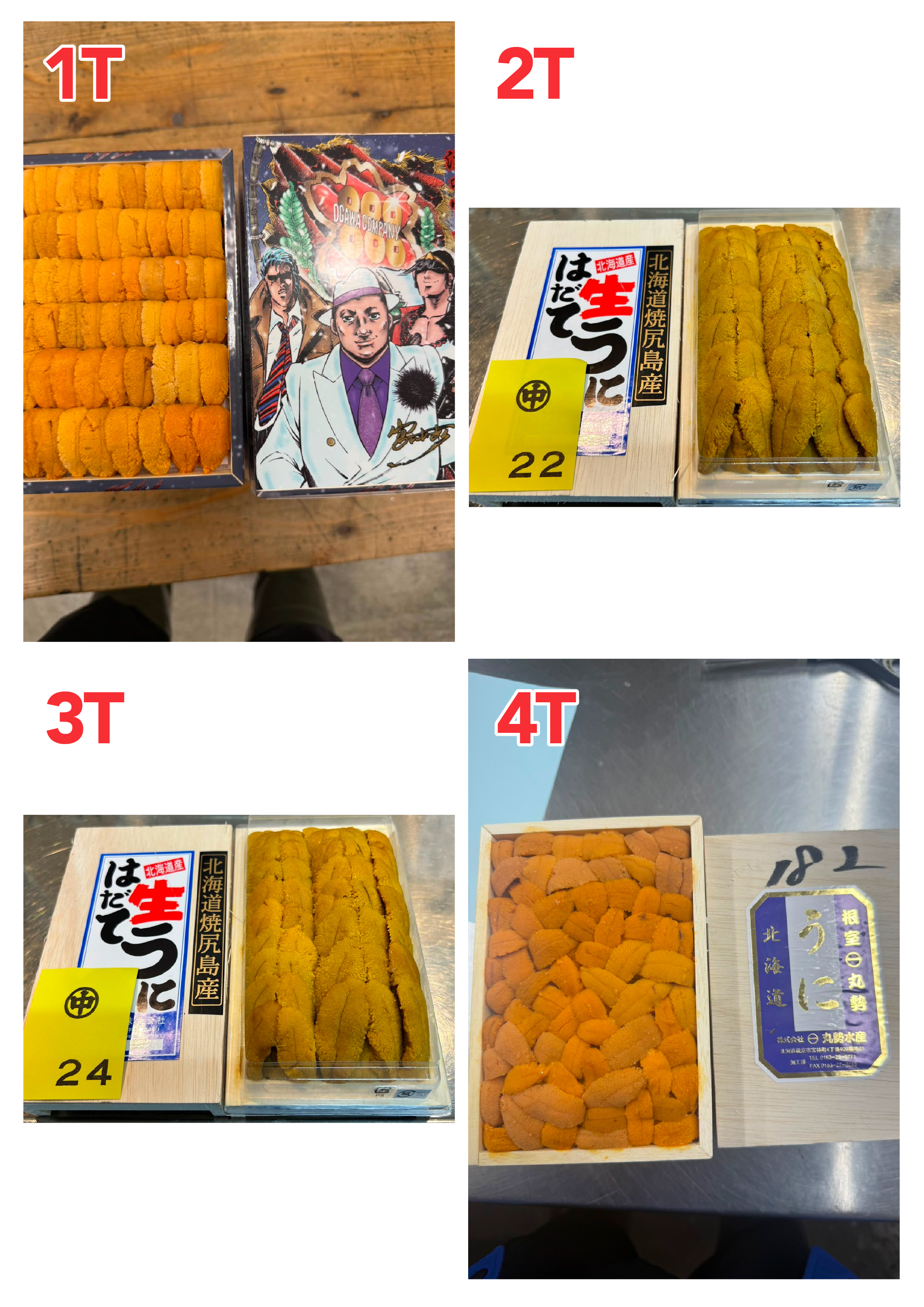 【指定海膽推薦】每天更新 (限即日落單, 翌日送)
