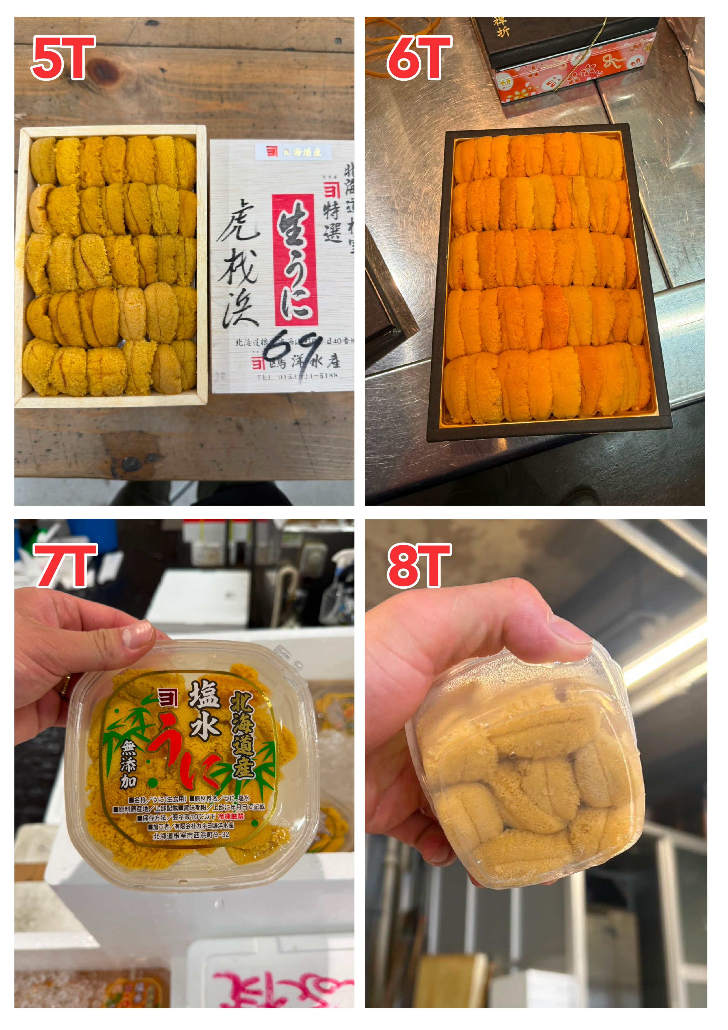 【指定海膽推薦】每天更新 (限即日落單, 翌日送)