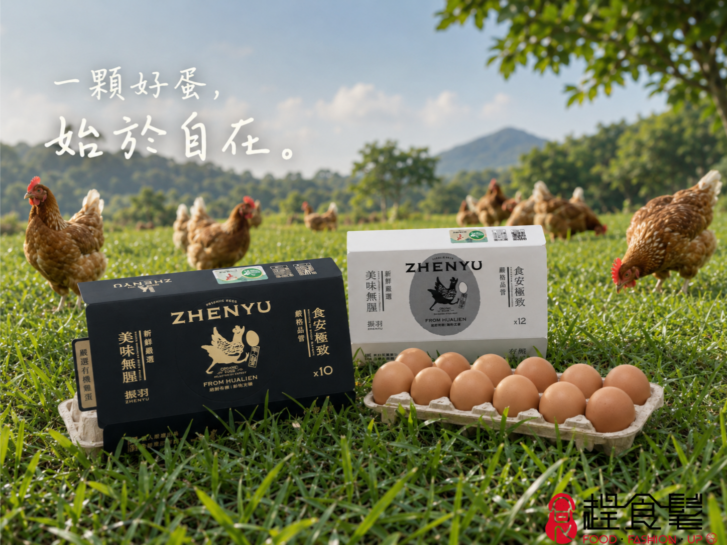 振羽有機雞蛋黑白包裝與蛋置於花蓮草地，放牧母雞自在活動，畫面文字為「一顆好蛋，始於自在。」_趕食髦