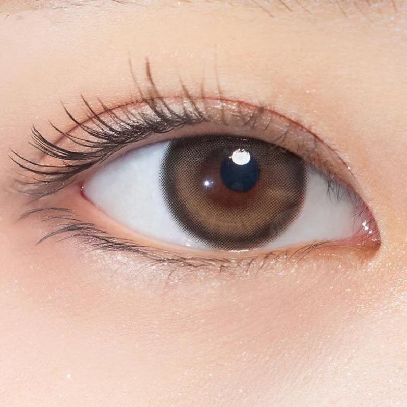 (現貨減價)One&Only Kristin Plus (13.8) 1 Day (Brown)(10片)