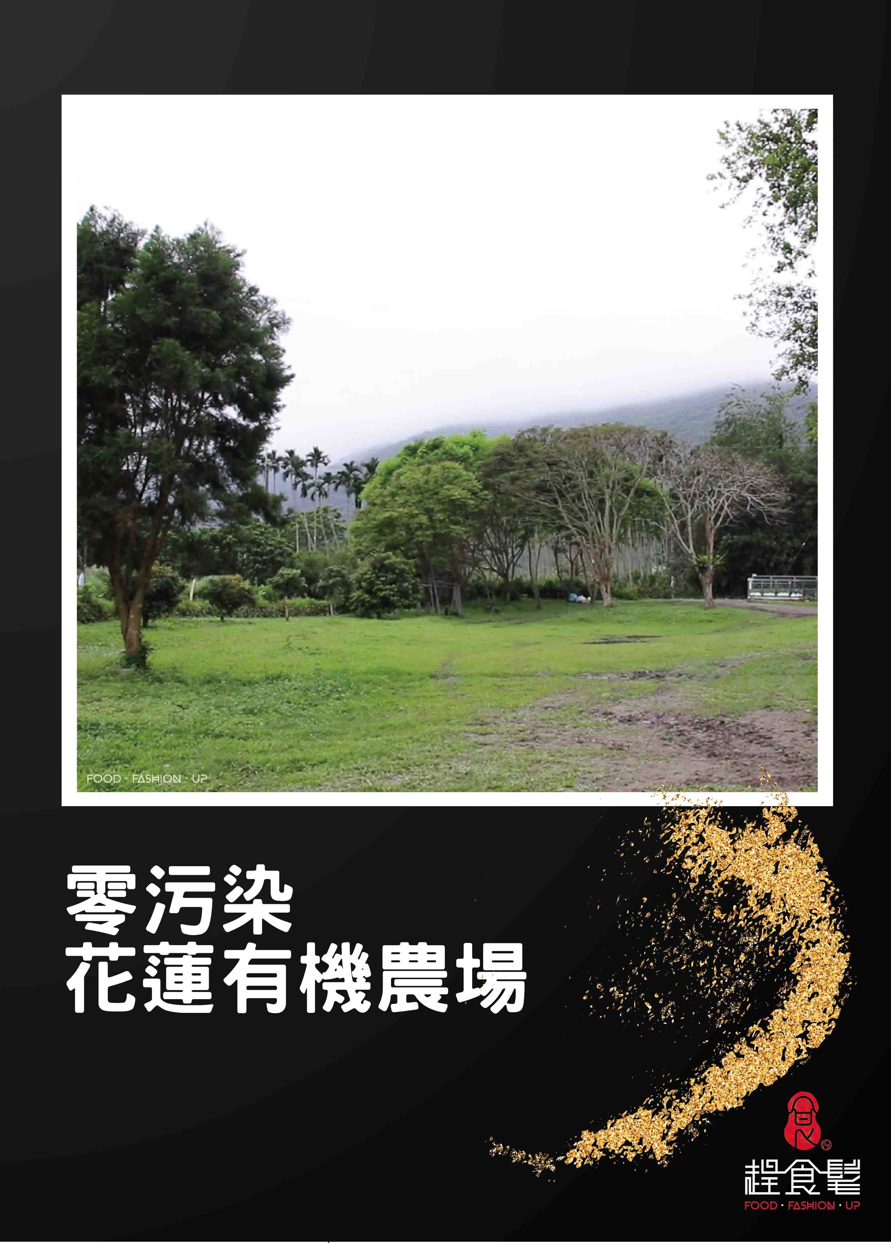 來自花蓮零污染有機農場的有機蛋_振羽ZHENYU有機蛋_趕食髦
