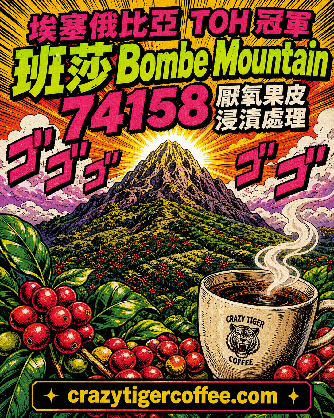 Ethiopia TOH Champion Bensa Bombe Mountain 74158 Anaerobic Pulped Natural