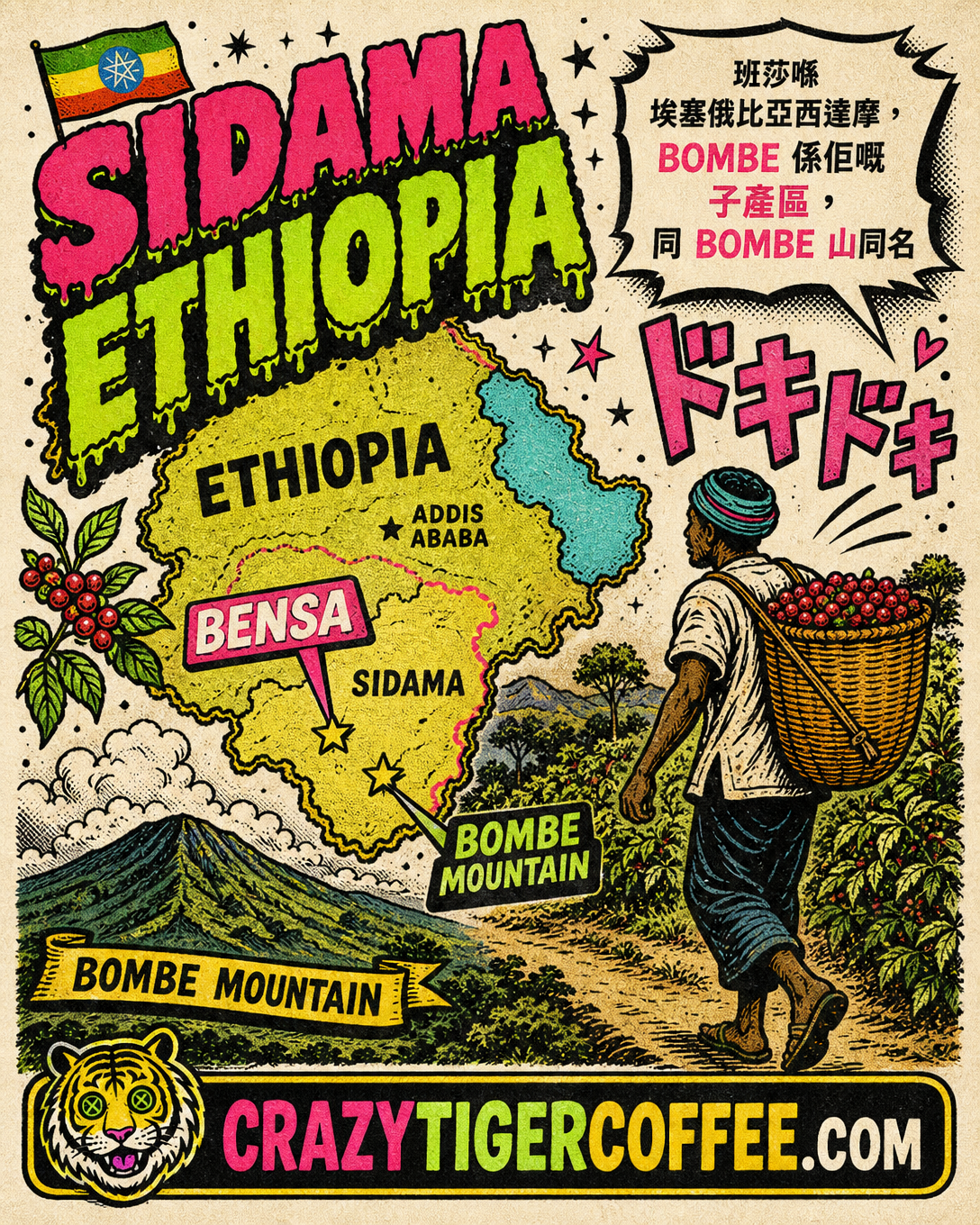Ethiopia TOH Champion Bensa Bombe Mountain 74158 Anaerobic Pulped Natural