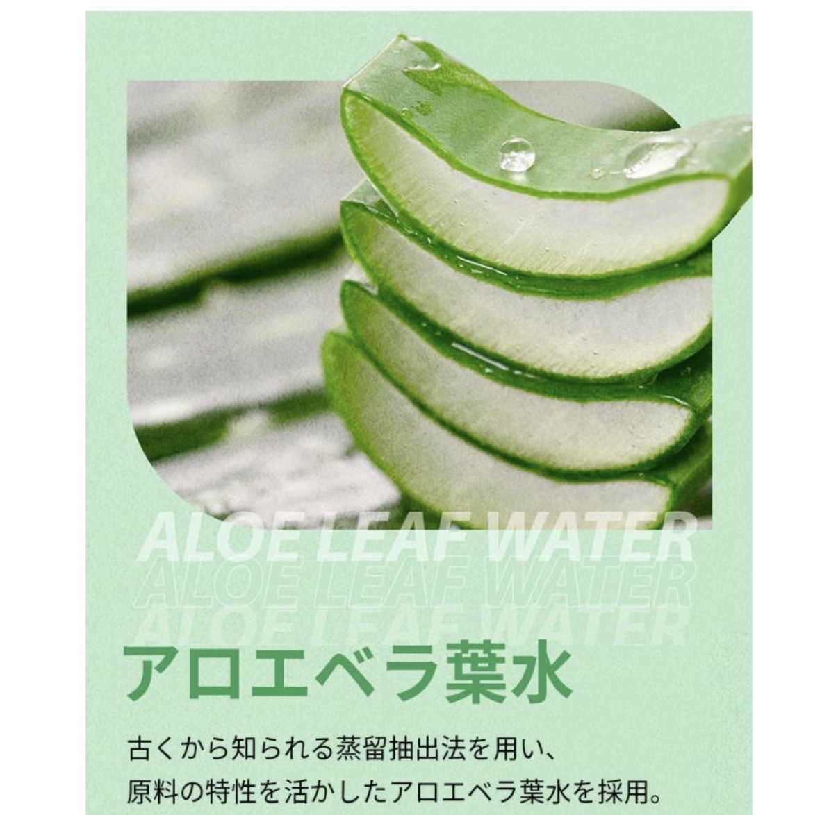 【夏日必買】JP Holika 蘆薈99%新鮮保濕舒緩凝膠 250ml 1075 TK260720