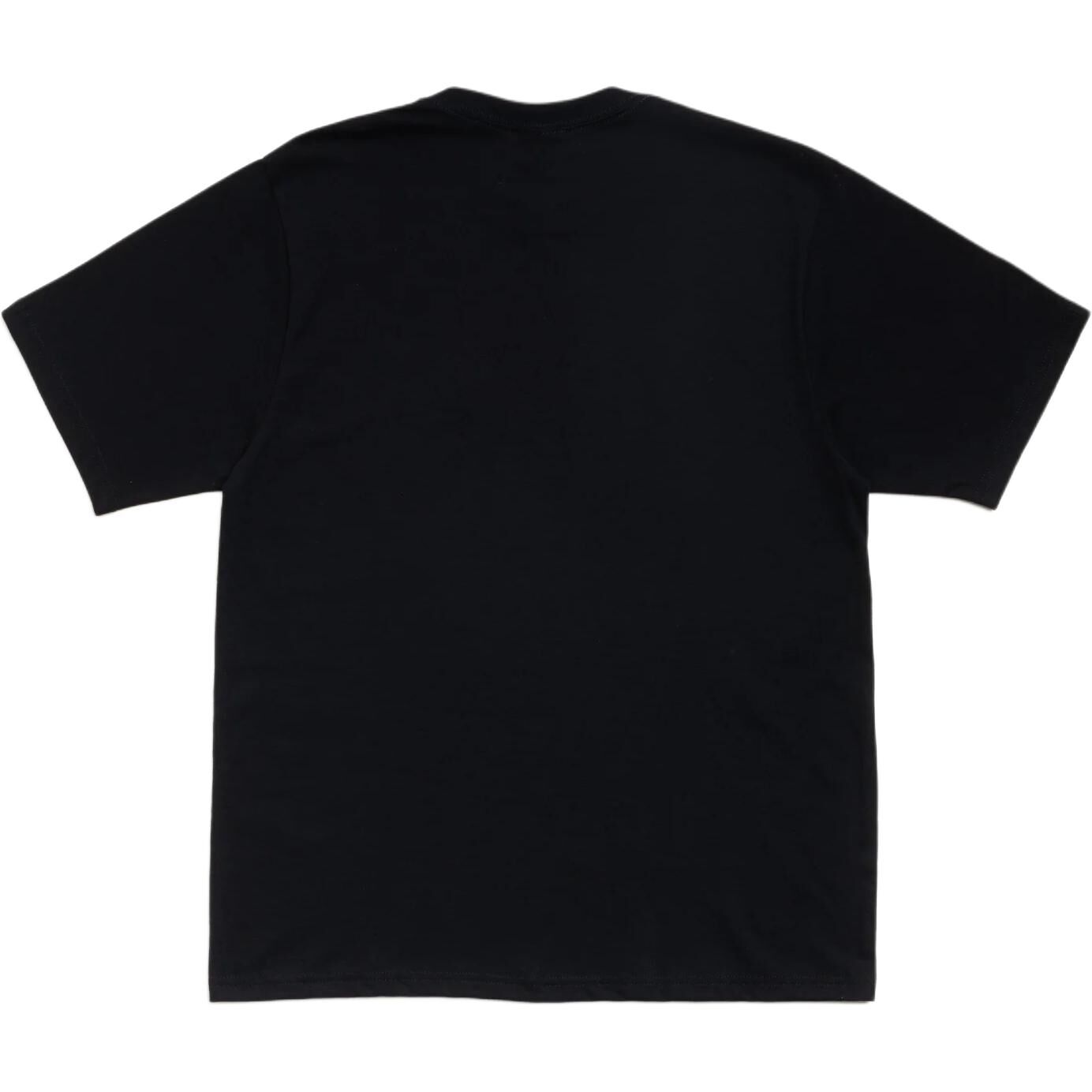 【代購】Stussy SS26 CITRUS TEE T Shirt Unisex 1905219