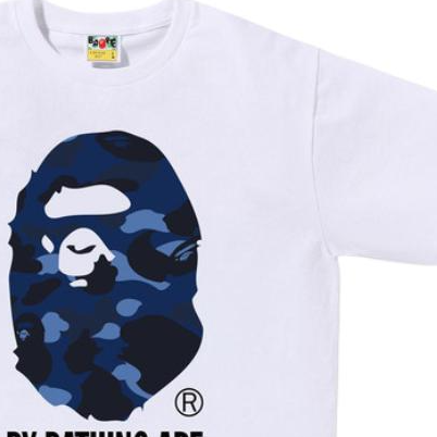 【代購】A BATHING APE SS26 T Shirt Men's 1m30-110-020