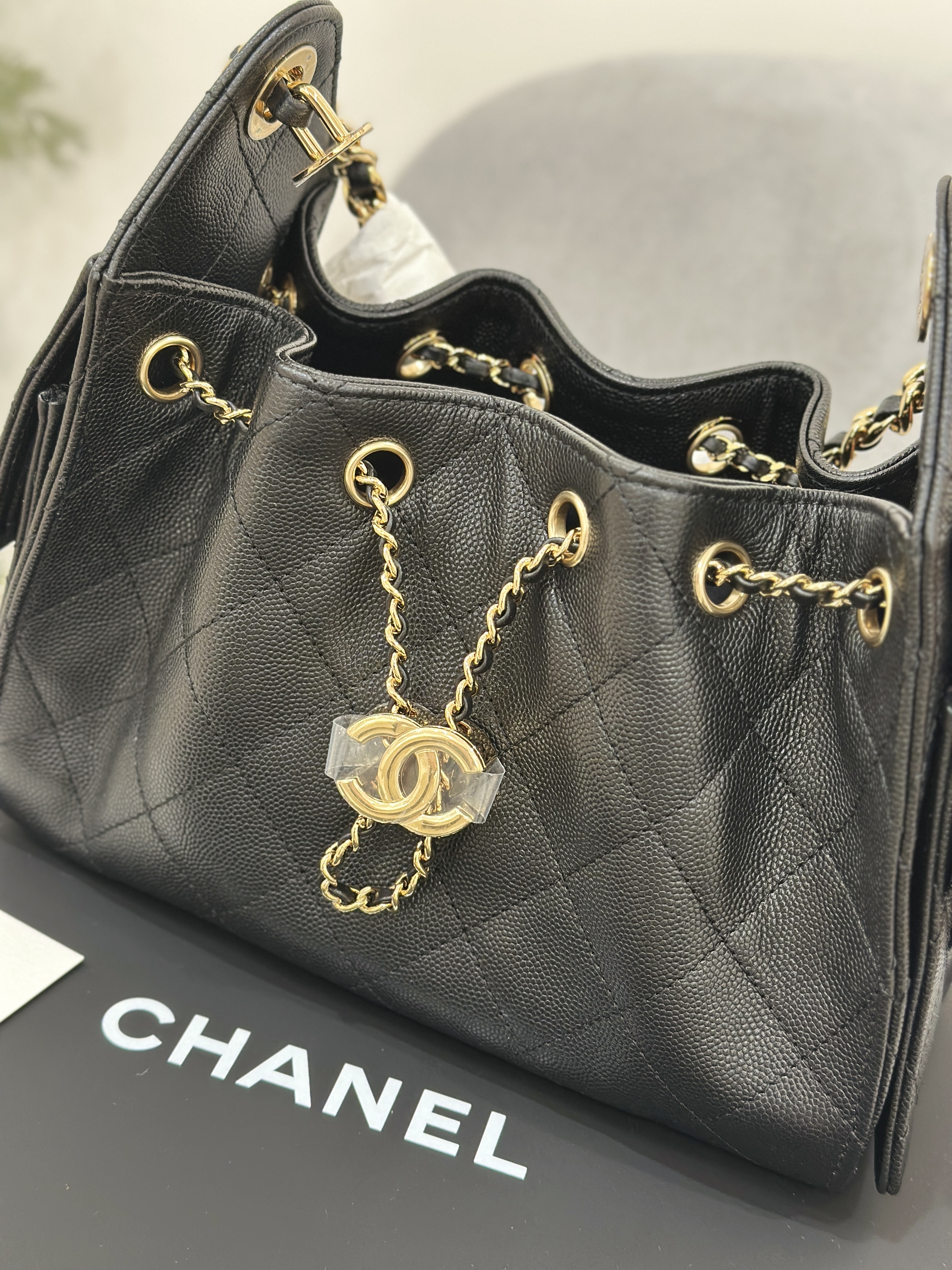 CHANEL 25 Mini Bag