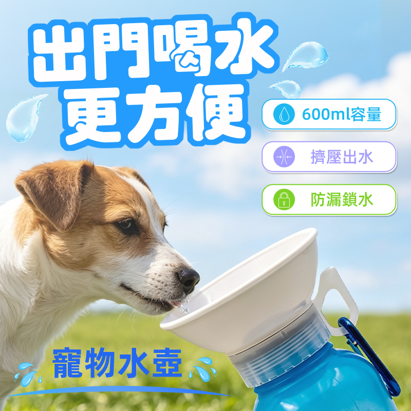 Petuity 寵物水壺｜便攜挂式寵物飲水壺 狗狗戶外防漏喝水器 食品級材質大容量600ml