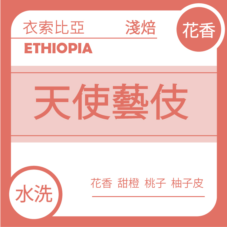 花香【衣索比亞 耶加雪菲 果丁丁 天使藝伎】水洗