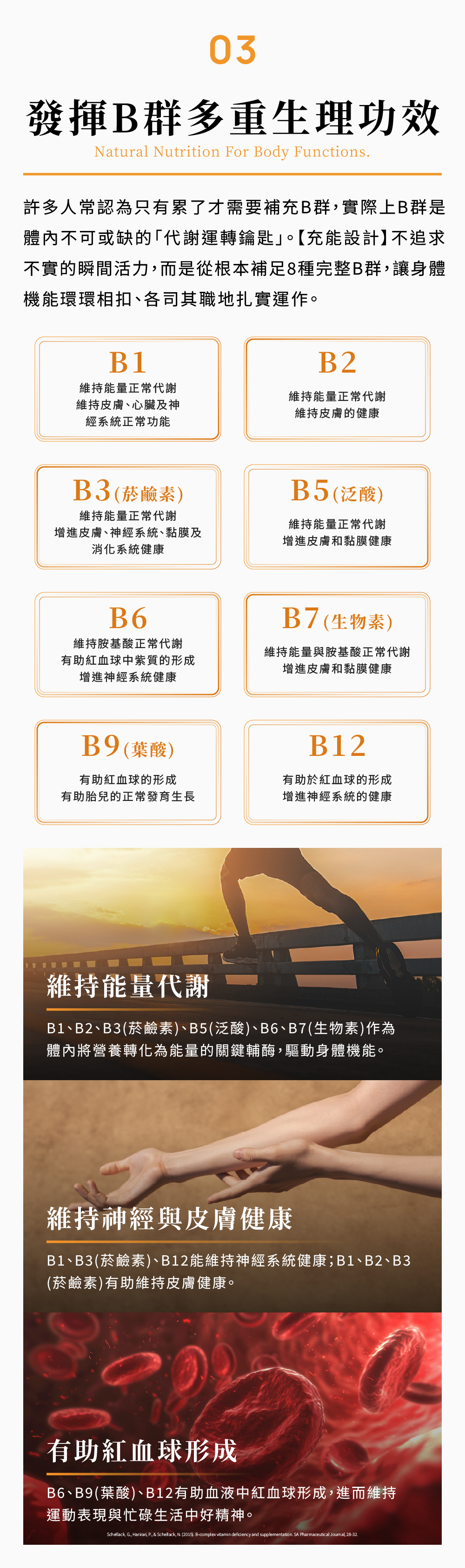 設計3 發揮B群多重生理功效