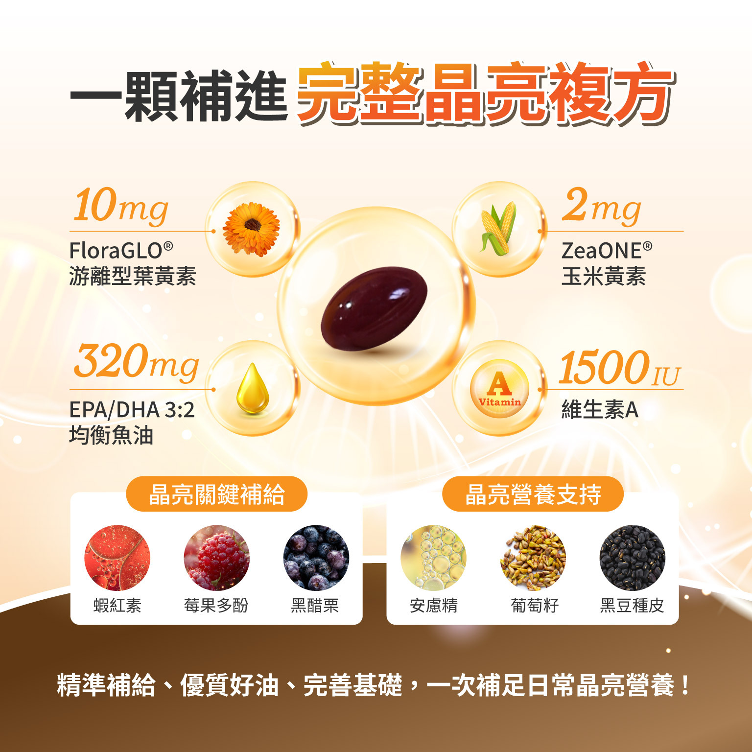 一顆補進完整晶亮複方,10mg FloraGLO® 游離型葉黃素 2mg ZeaONE® 玉米黃素 320mg EPA/DHA 3:2 均衡魚油 1500IU 維生素A  晶亮關鍵補給 蝦紅素|莓果多酚|黑醋栗 晶亮營養支持