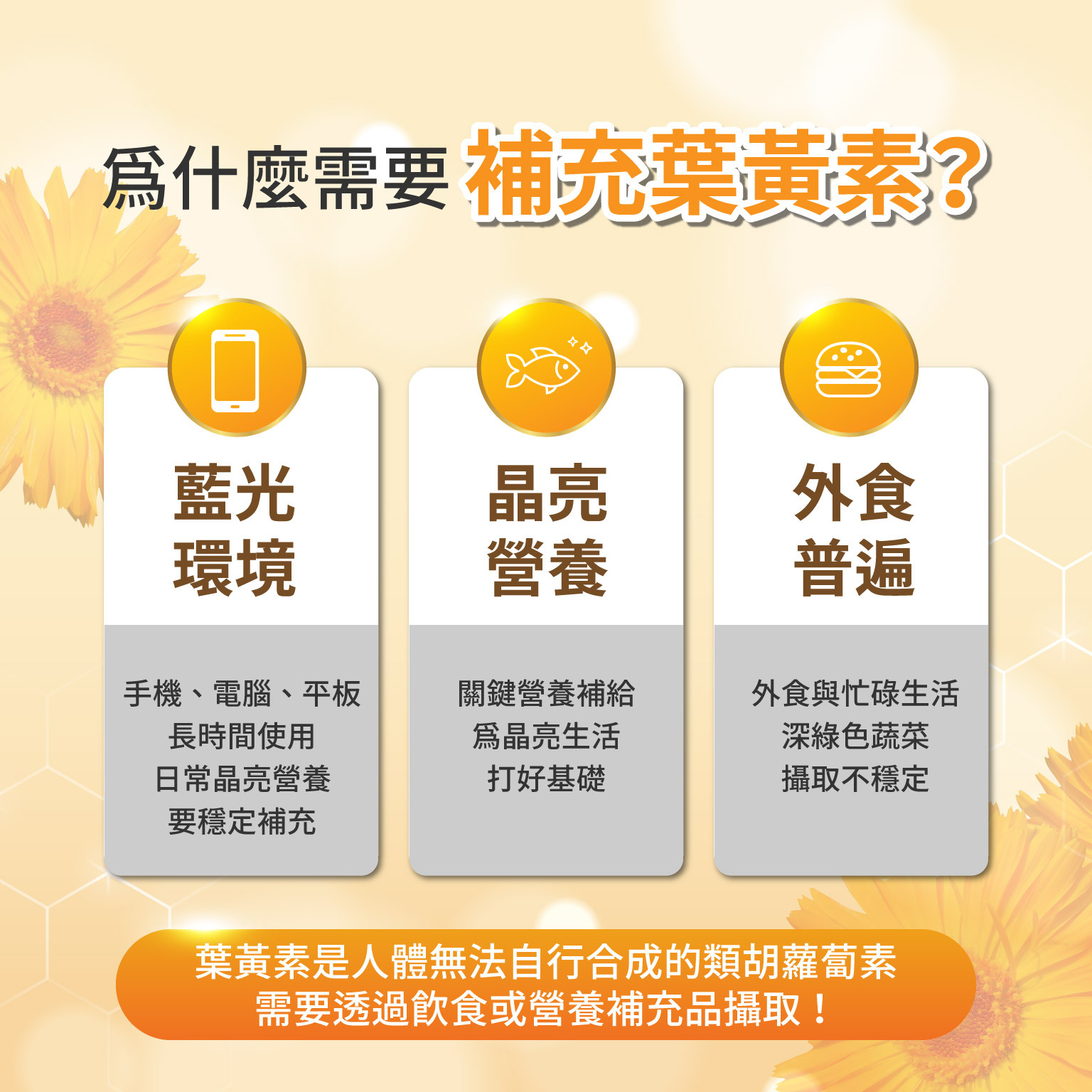 為甚麼需要 補充葉黃素?1 藍光環境：手機、電腦、平板長時間使用，日常晶亮營養要穩定補充。 2 晶亮營養：關鍵營養補給，為晶亮生活打好基礎。 3 外食普遍：外食與忙碌生活，深綠色蔬菜攝取不穩定。