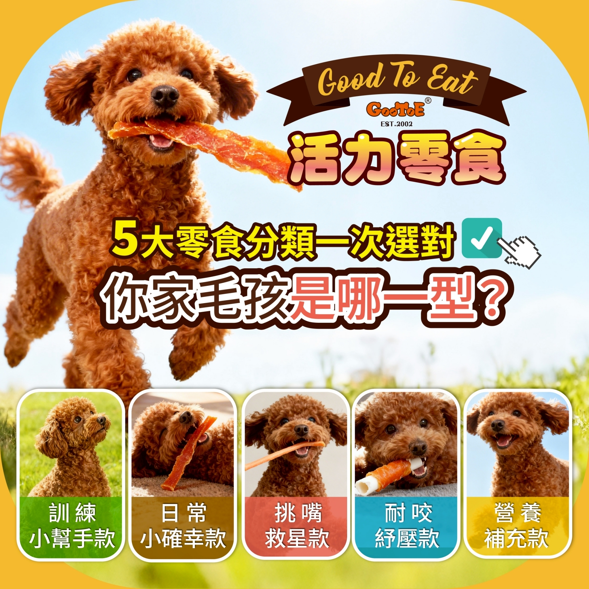 GooToe活力 | 狗狗耐咬舒壓零食 耐咬紓壓