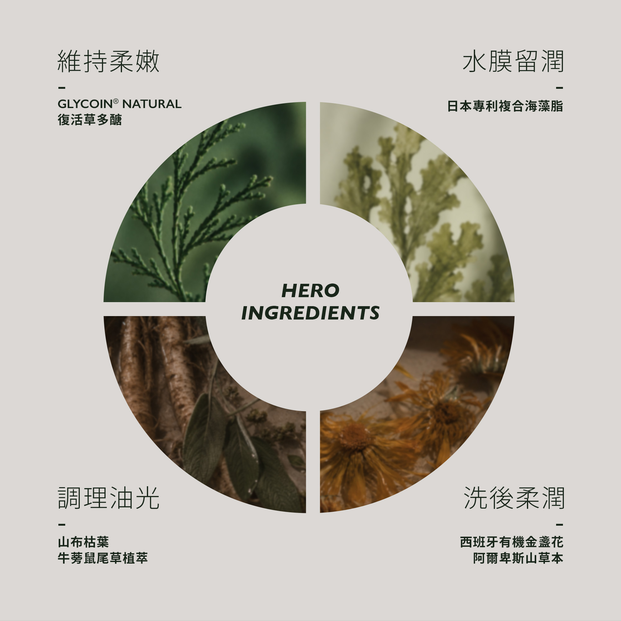 ELEVITA 淨透水嫩潔膚凝膠核心成分圖，包含復活草多醣、複合海藻脂與多種草本植萃