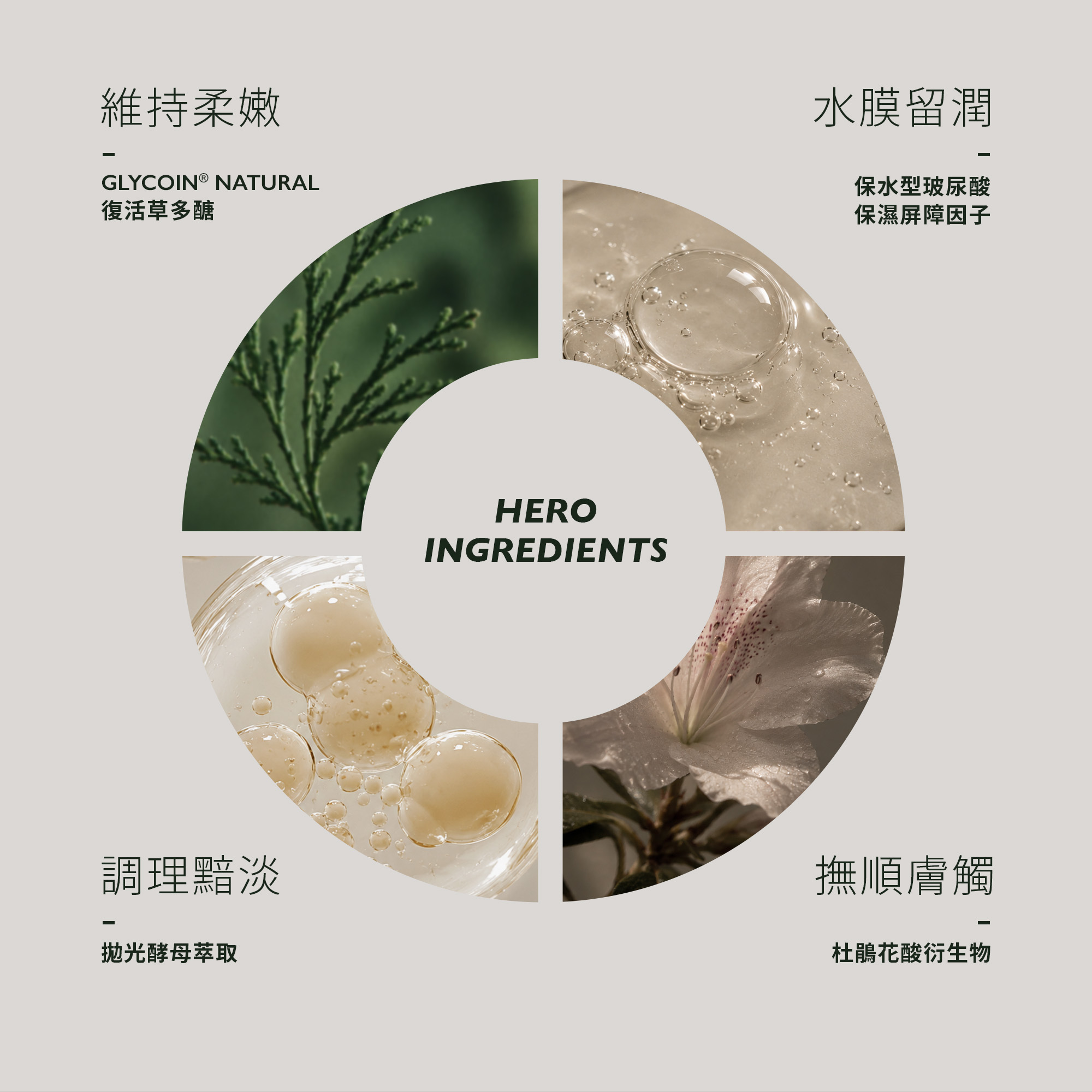 ELEVITA 水光亮采保濕化妝水核心成分圖，包含復活草多醣、保水型玻尿酸、保濕屏障因子、酵母萃取與杜鵑花酸衍生物