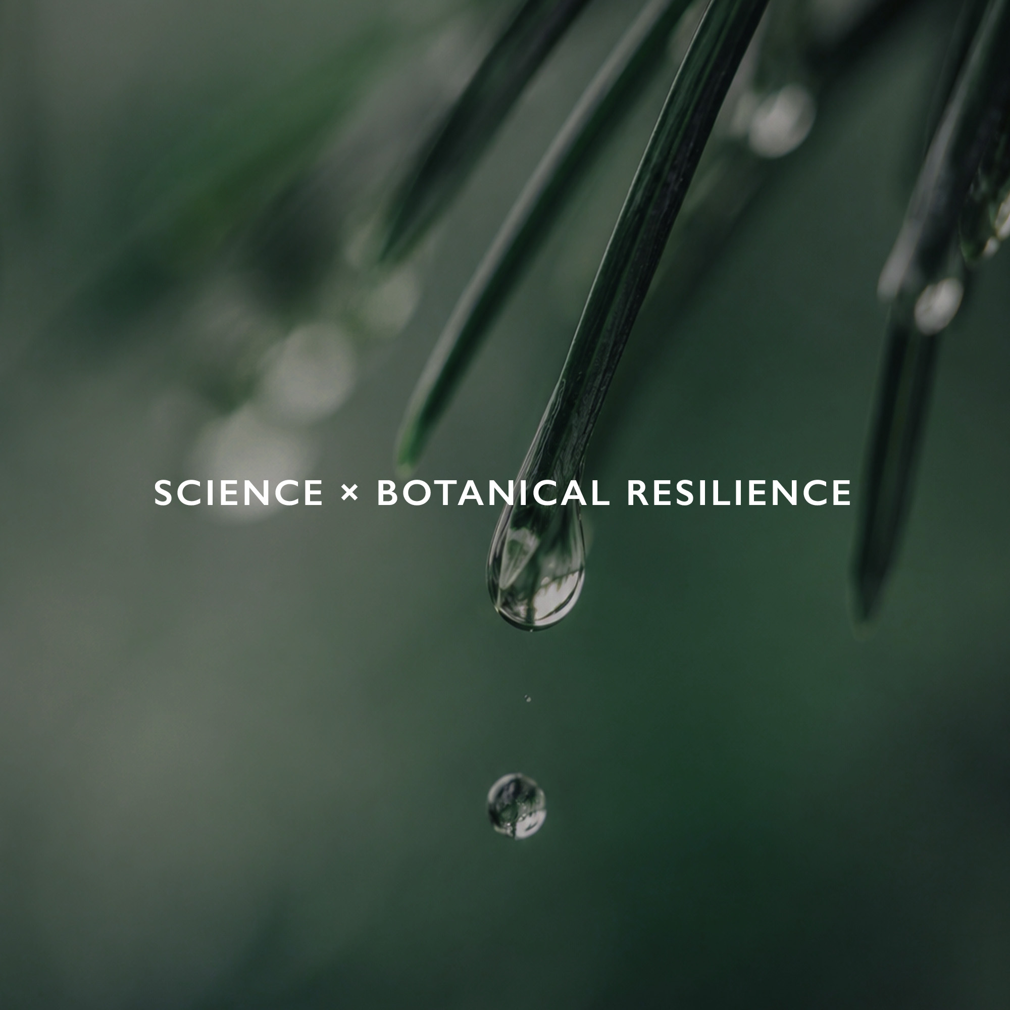 植物葉片凝結水滴，傳達 ELEVITA 科學結合植物韌性的保養理念