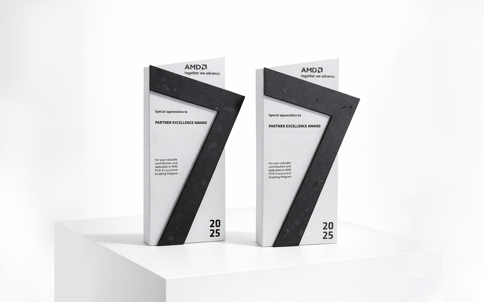 AMD_detail02