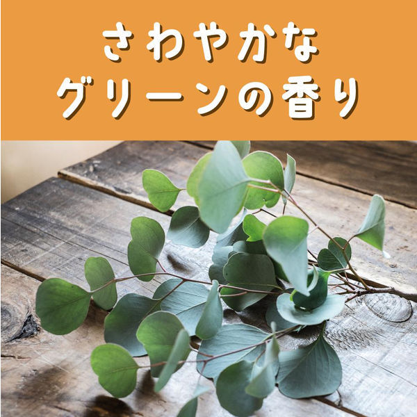 【 限量現貨 】日本 KINCHO 金鳥 綠色清香防蚊香環/防蚊手環 (大人專用 6入裝)