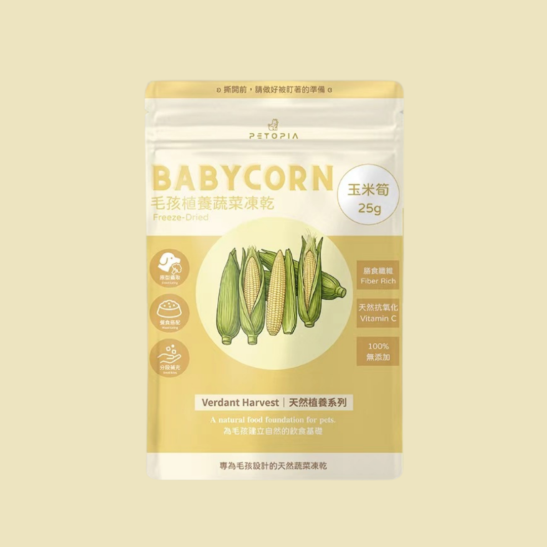 『待補貨』玉米筍凍乾 BABY CORN｜25g