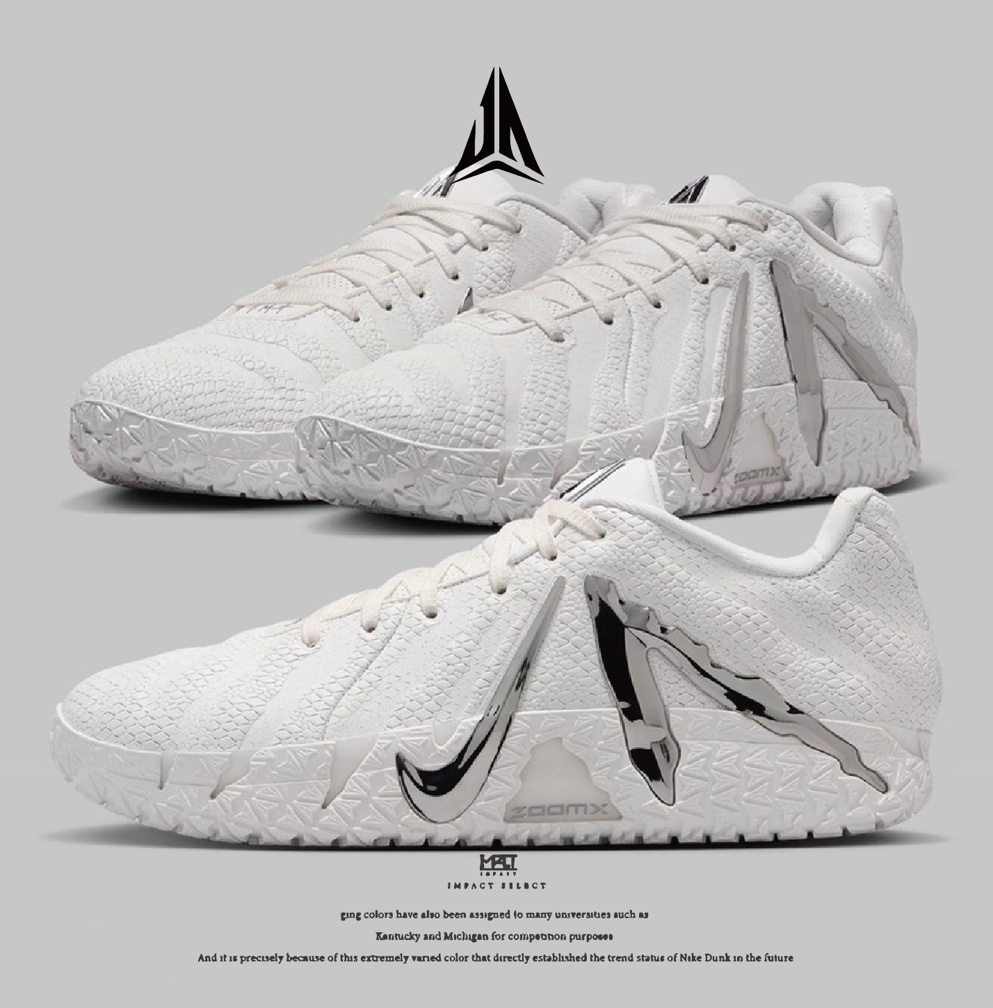 Nike Ja 3 莫蘭特三代 液態銀 銀白 銀勾 爬蟲 簽名 限定 特別版 海外限定 IO7668-100