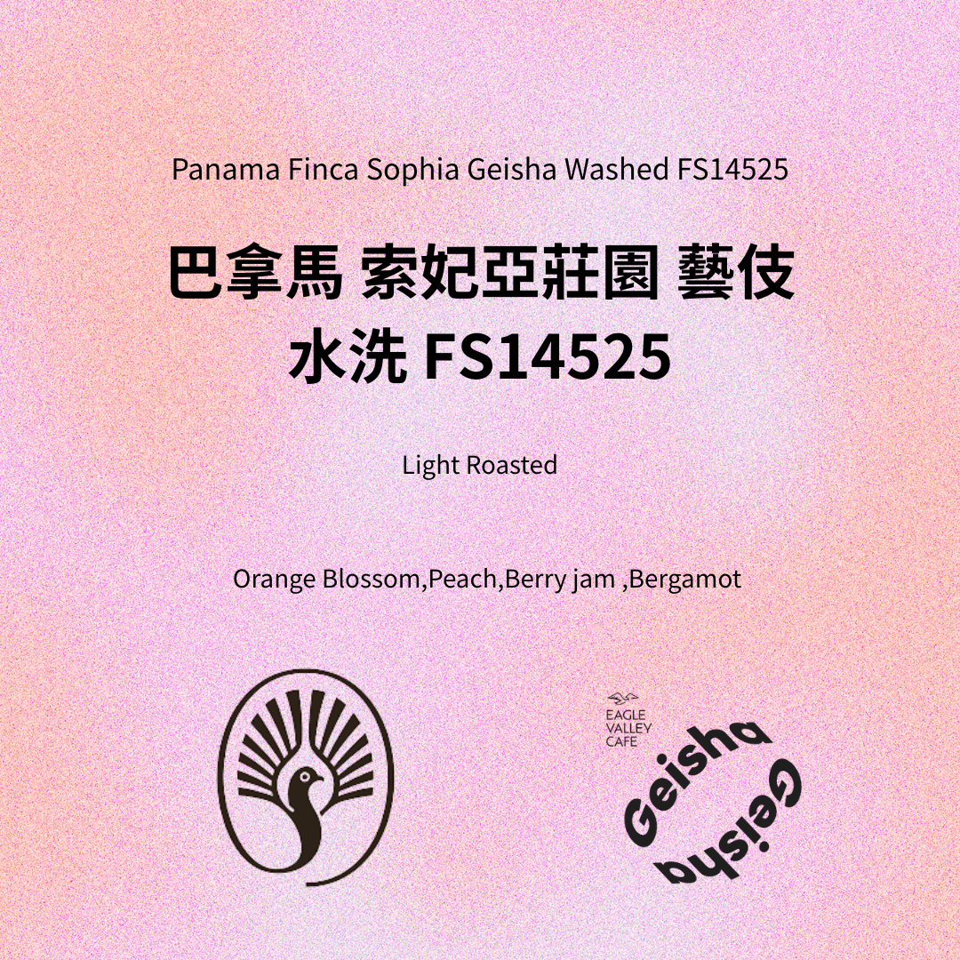 Panama Finca Sophia Geisha FS14525