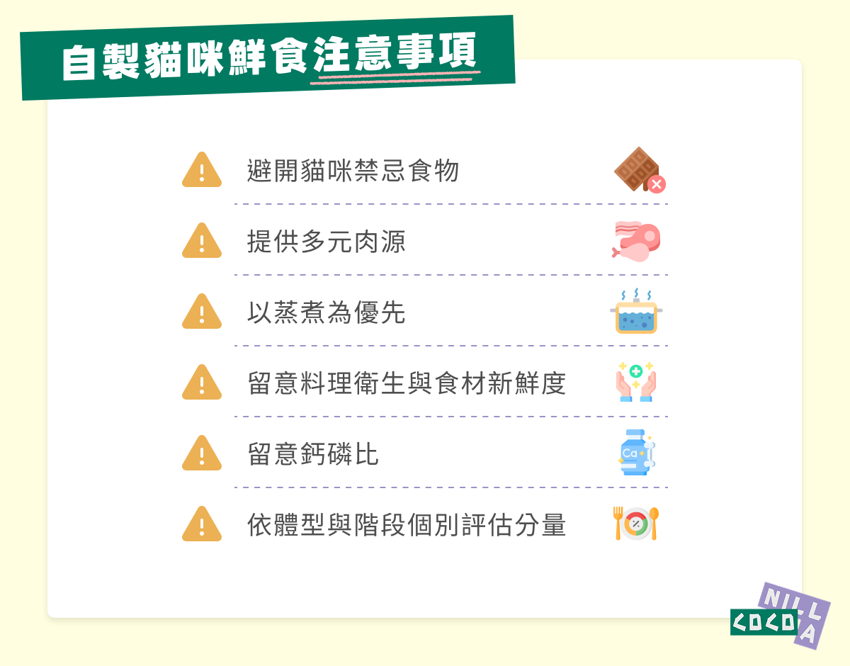 自製貓咪鮮食注意事項