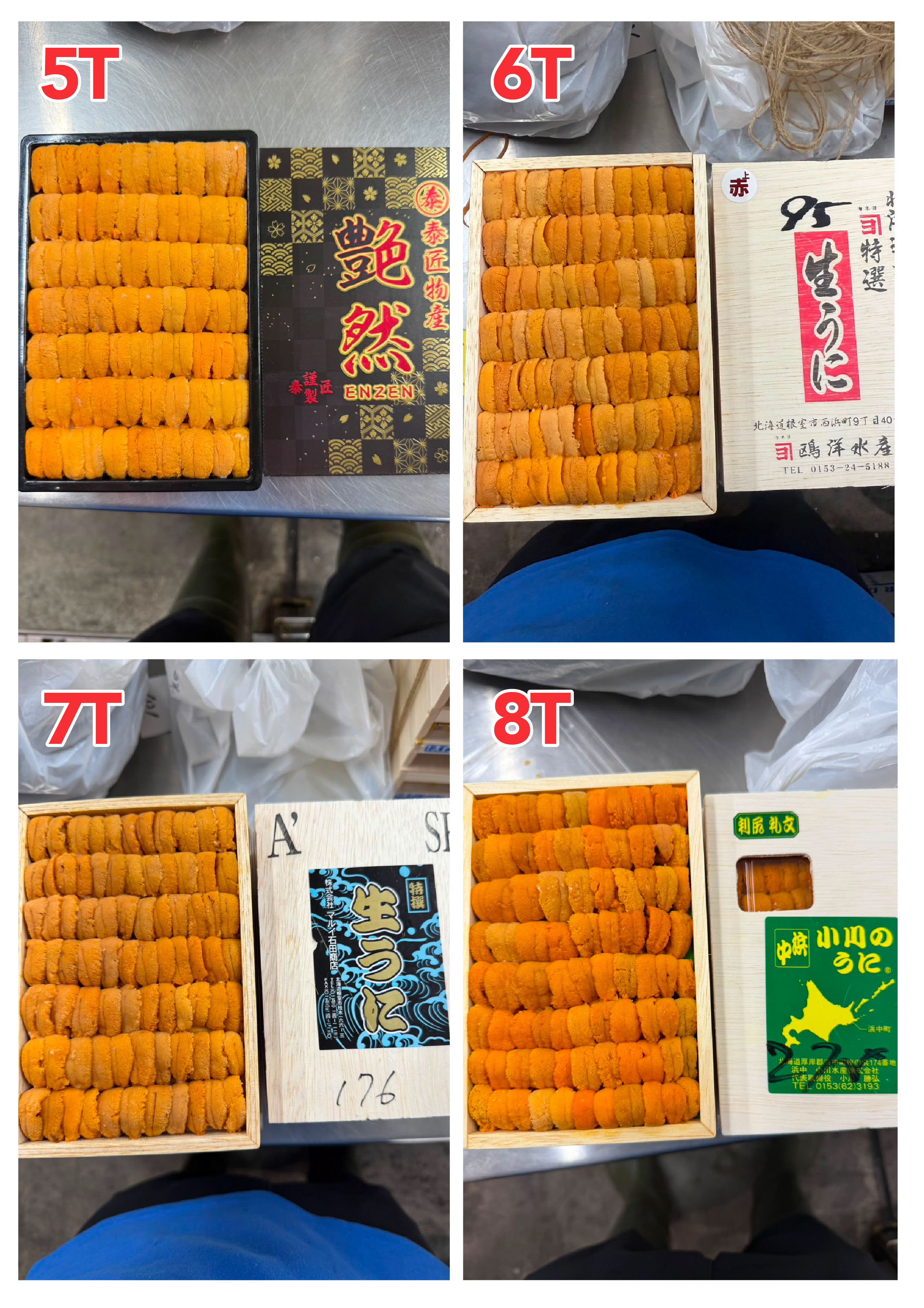 【指定海膽推薦】每天更新 (限即日落單, 翌日送)