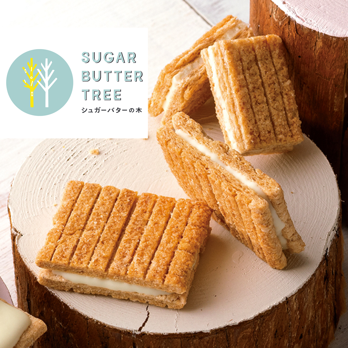 (團購)砂糖樹 SUGAR BUTTER TREE (09/01到貨)