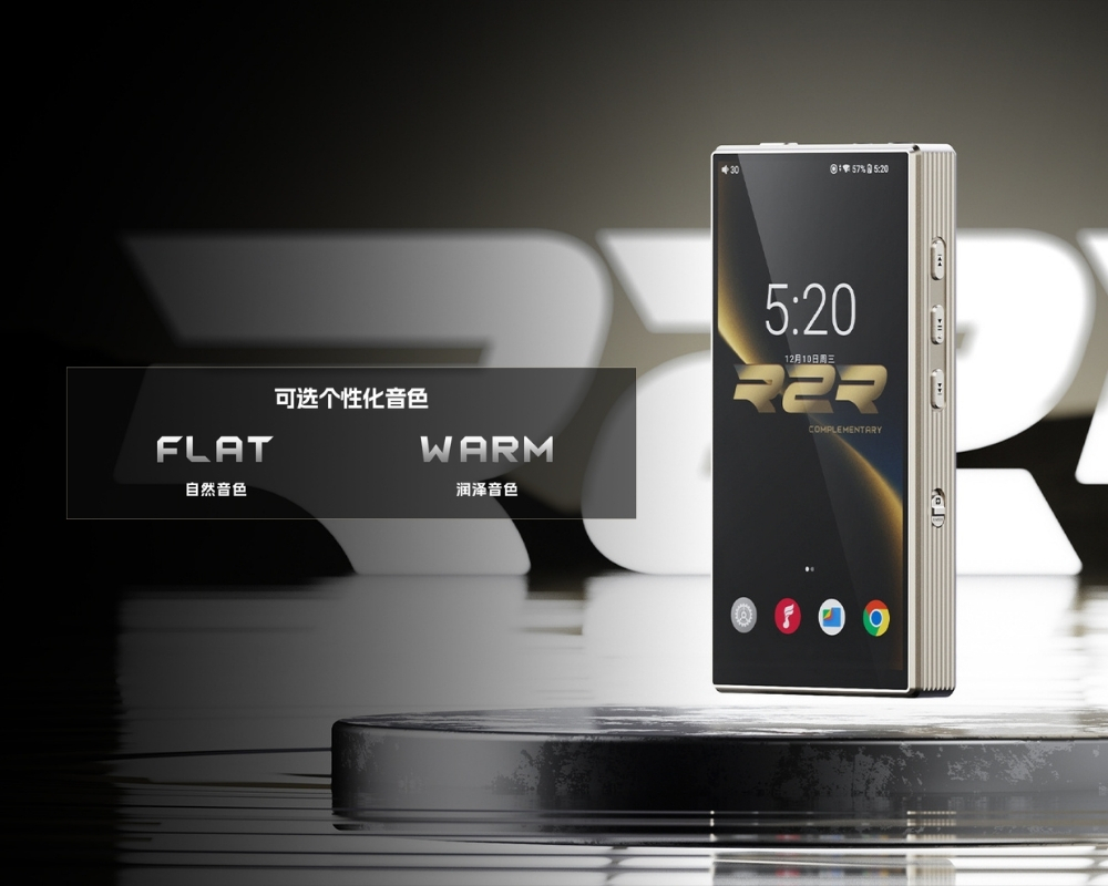 FIIO 自研的R2R 電阻陣列