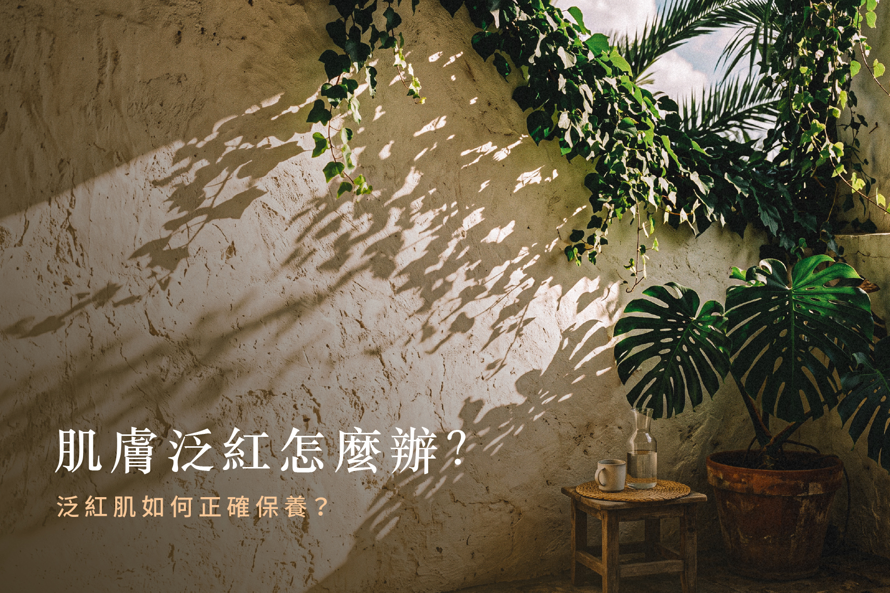 肌膚泛紅怎麼保養？