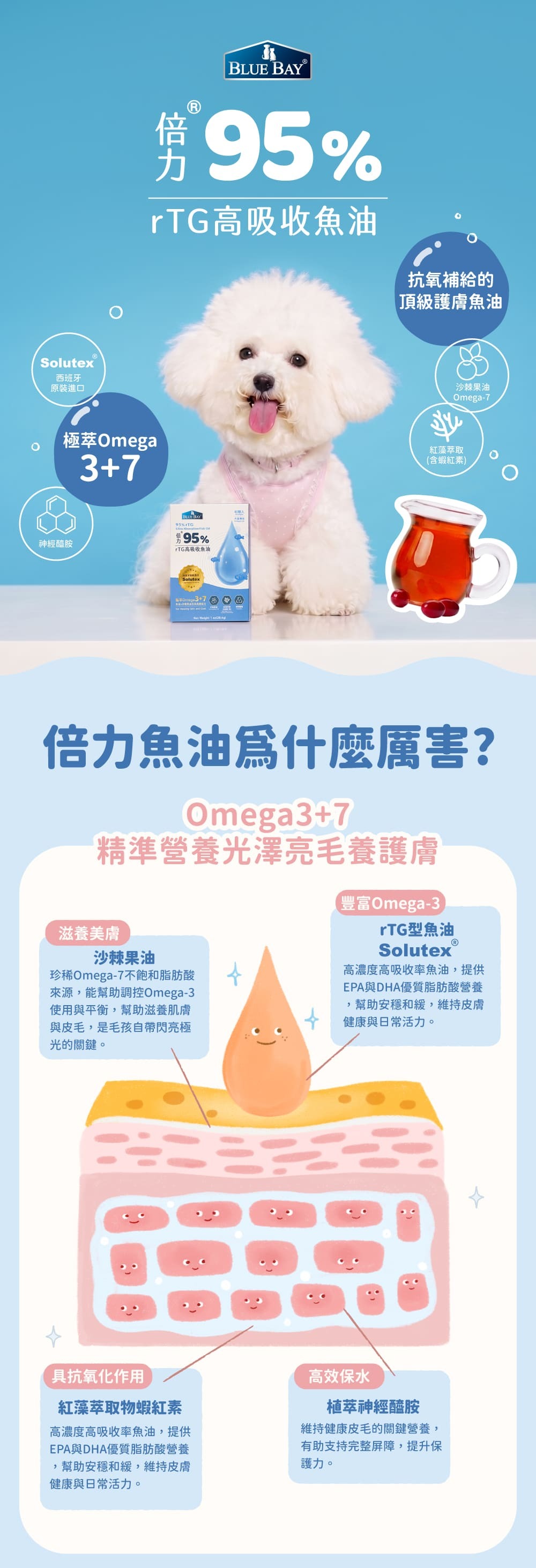 倍力美肌魚油全新升級!95%rTG高吸收魚油