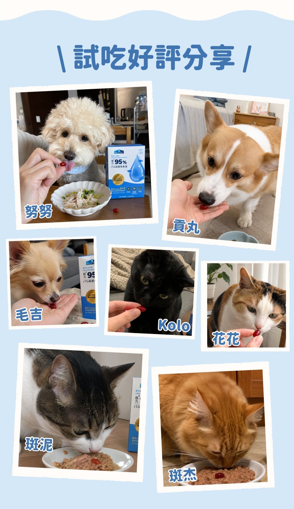 倍力魚油試吃好評分享