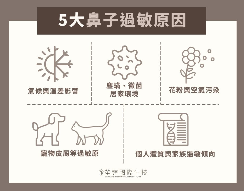5大鼻子過敏原因