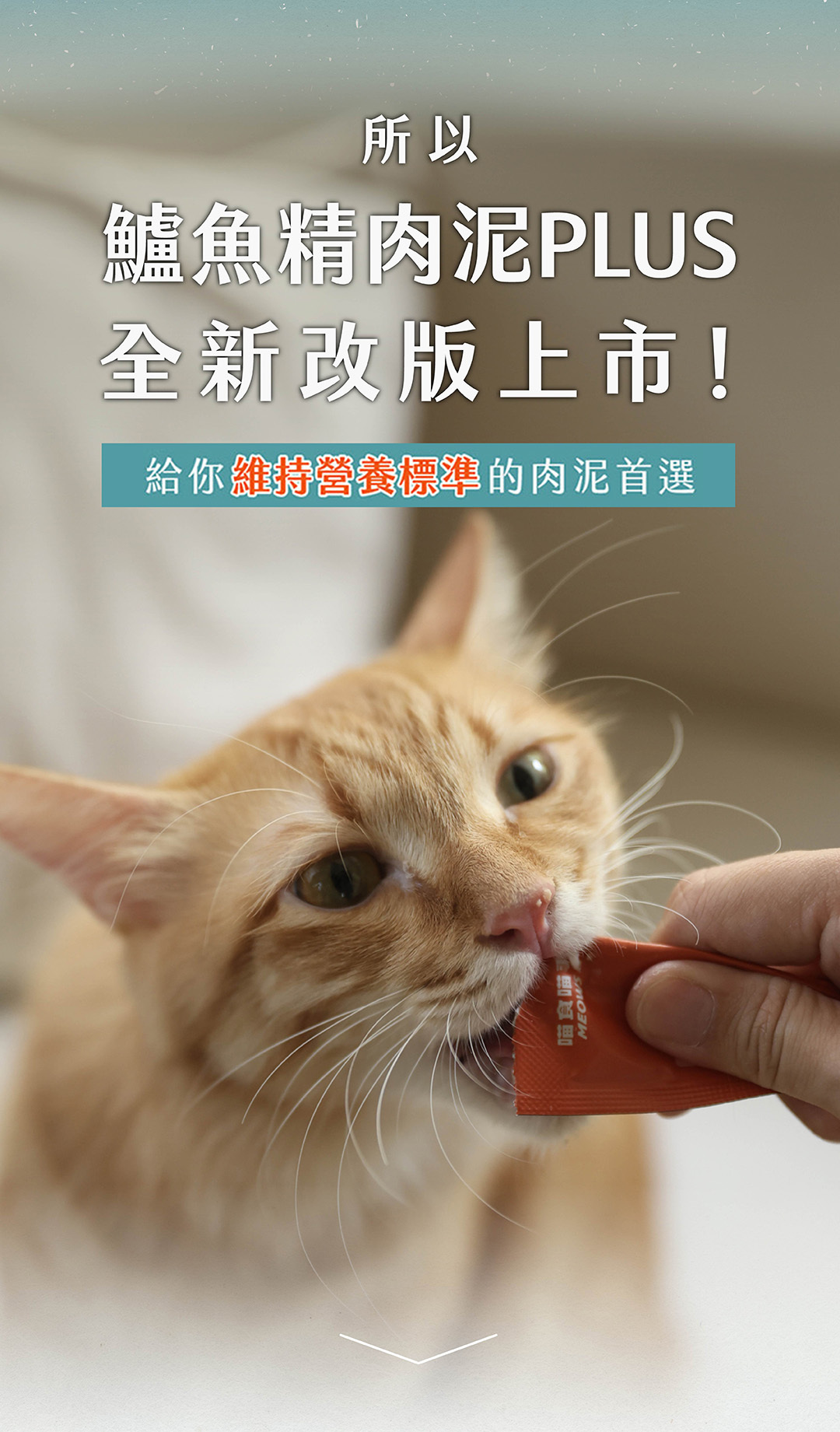 喵食喵事鱸魚精肉泥全新改版上市維持營養標準的肉泥